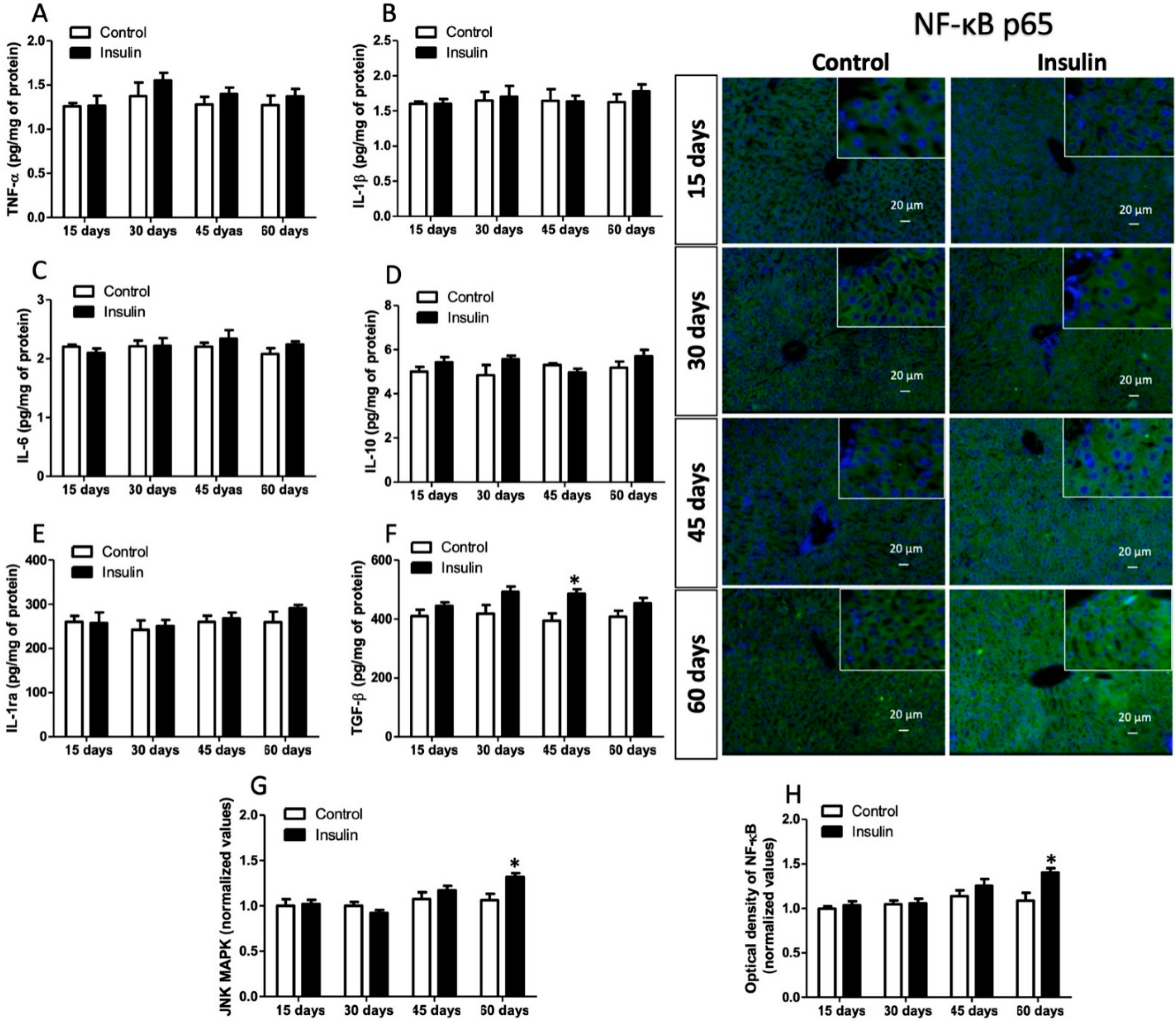 Metabolites 13 00572 g006