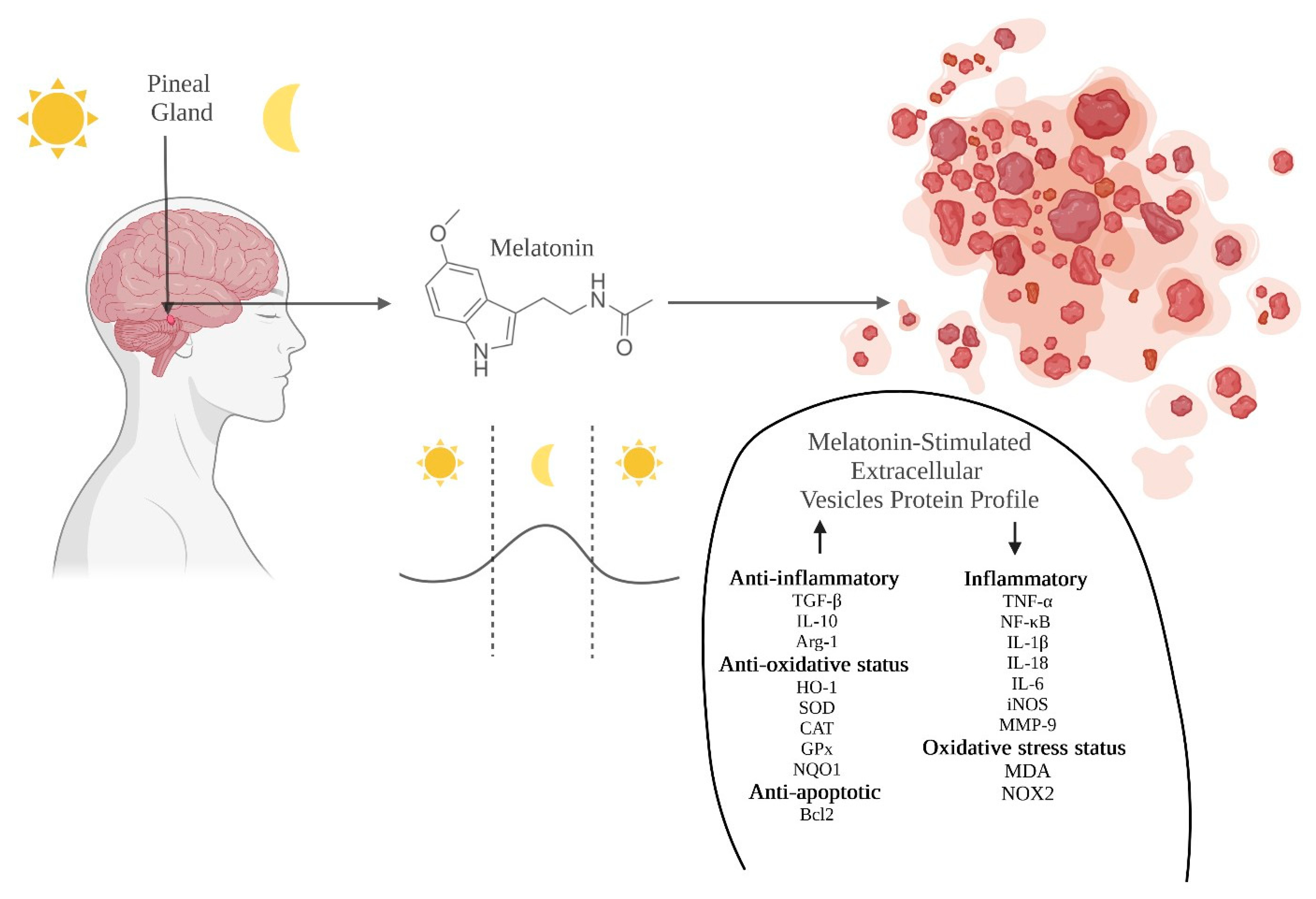 Metabolites 13 00575 g002