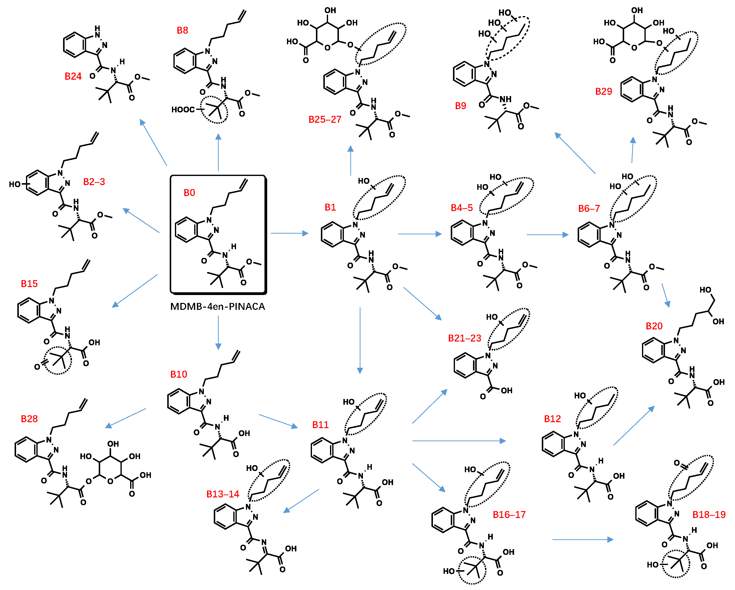 Metabolites 13 00576 g004