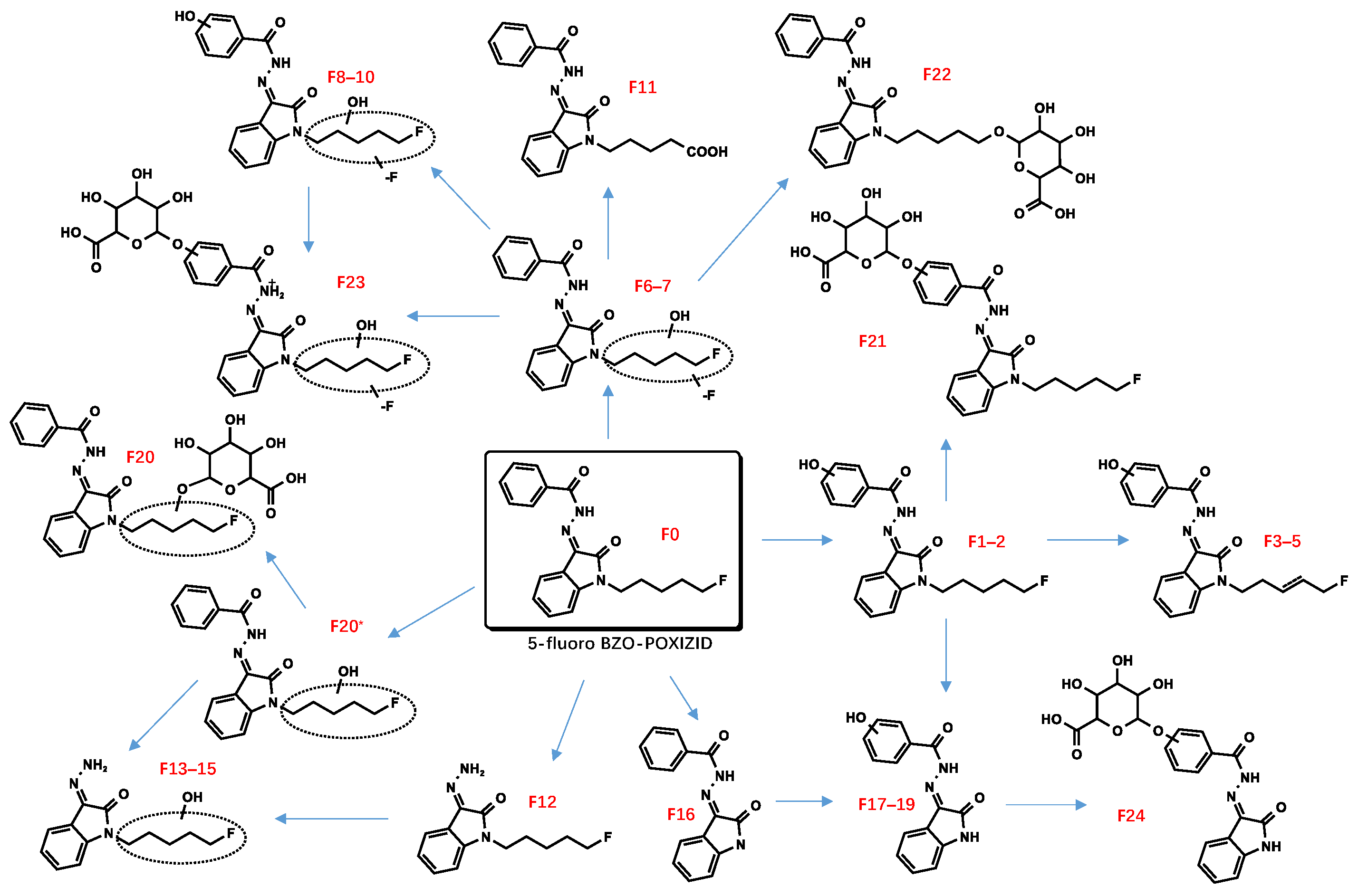 Metabolites 13 00576 g008