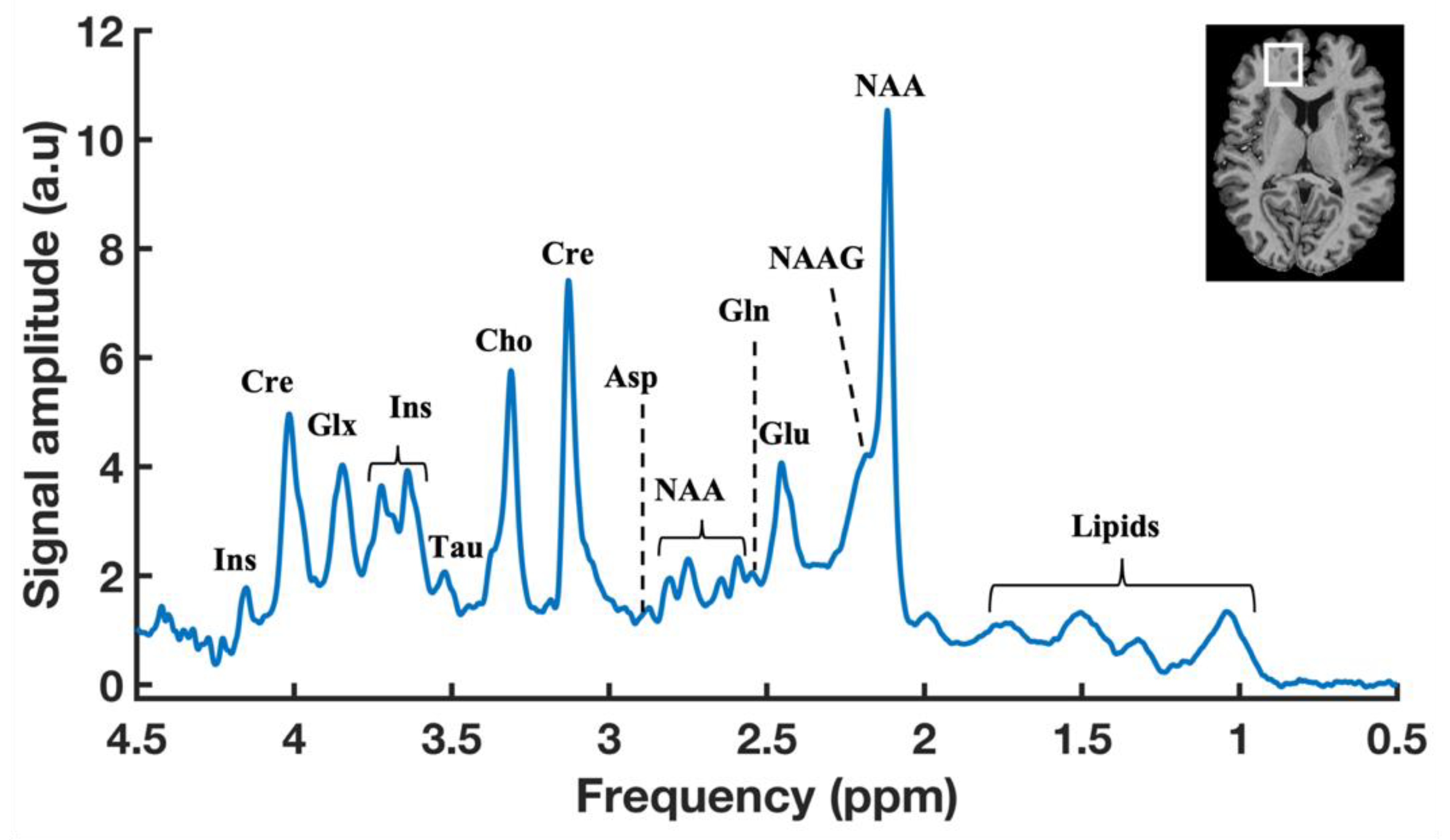 Metabolites 13 00577 g002 Metabolites 13 00577 g002