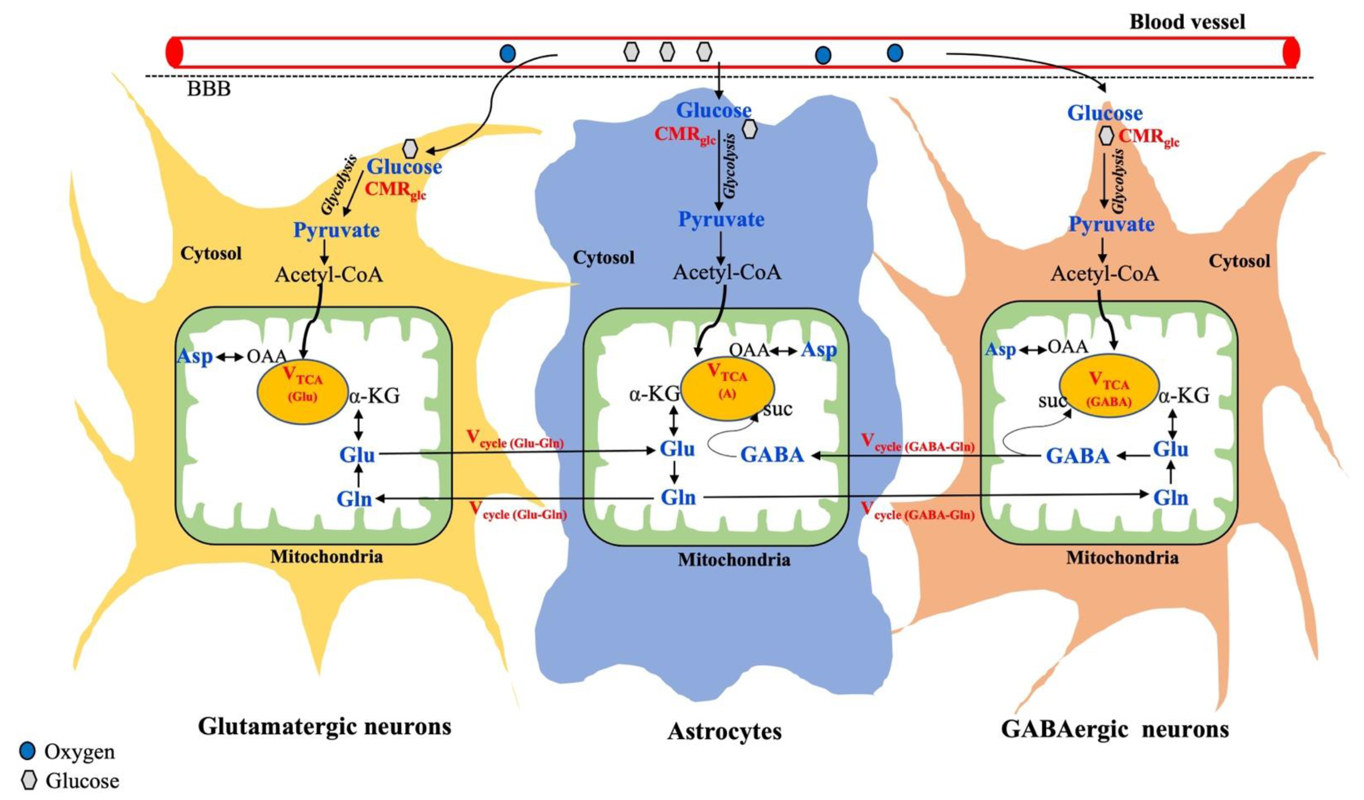 Metabolites 13 00577 g003 Metabolites 13 00577 g003