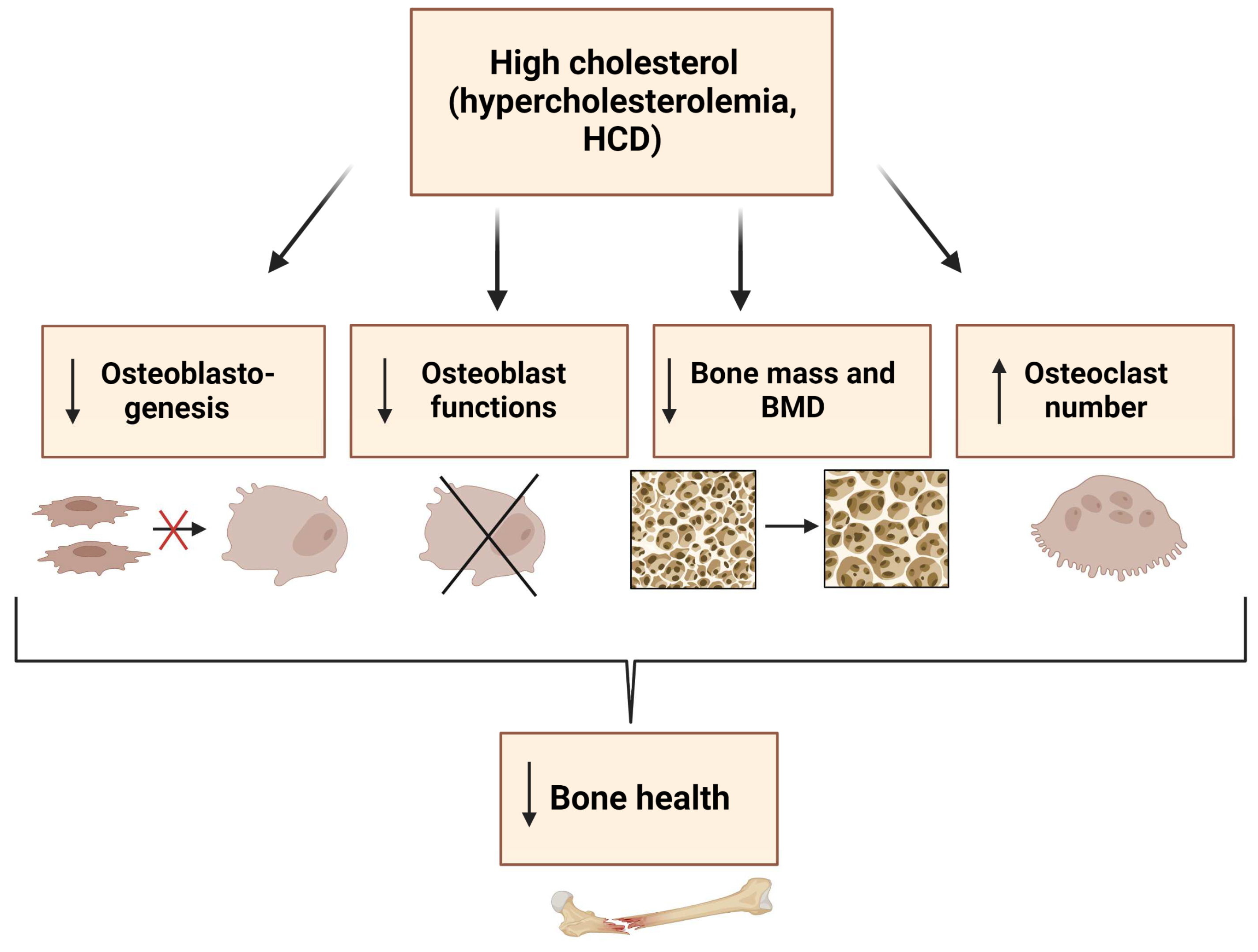 Metabolites 13 00578 g004 Metabolites 13 00578 g004