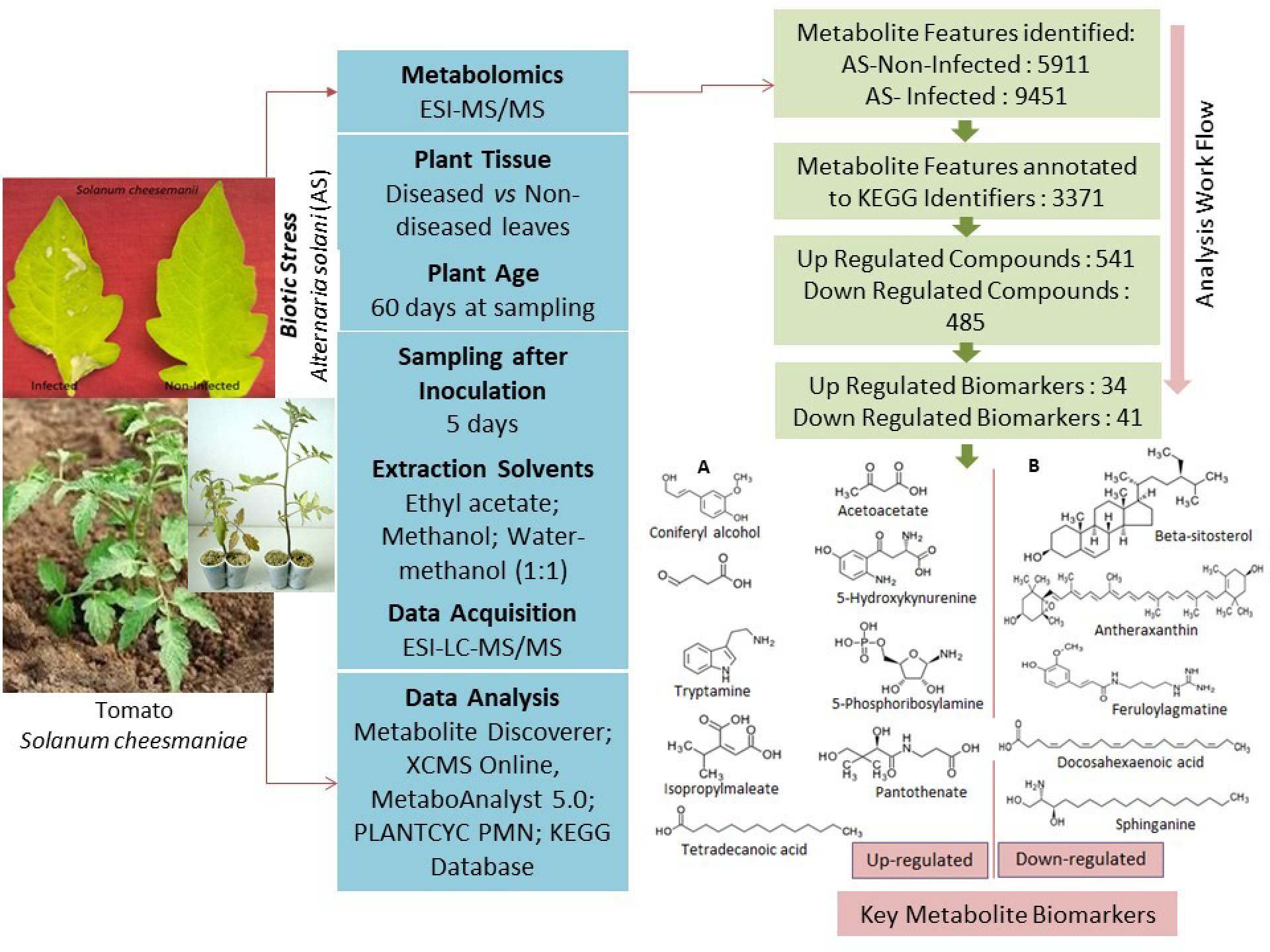 Metabolites 13 00585 g001