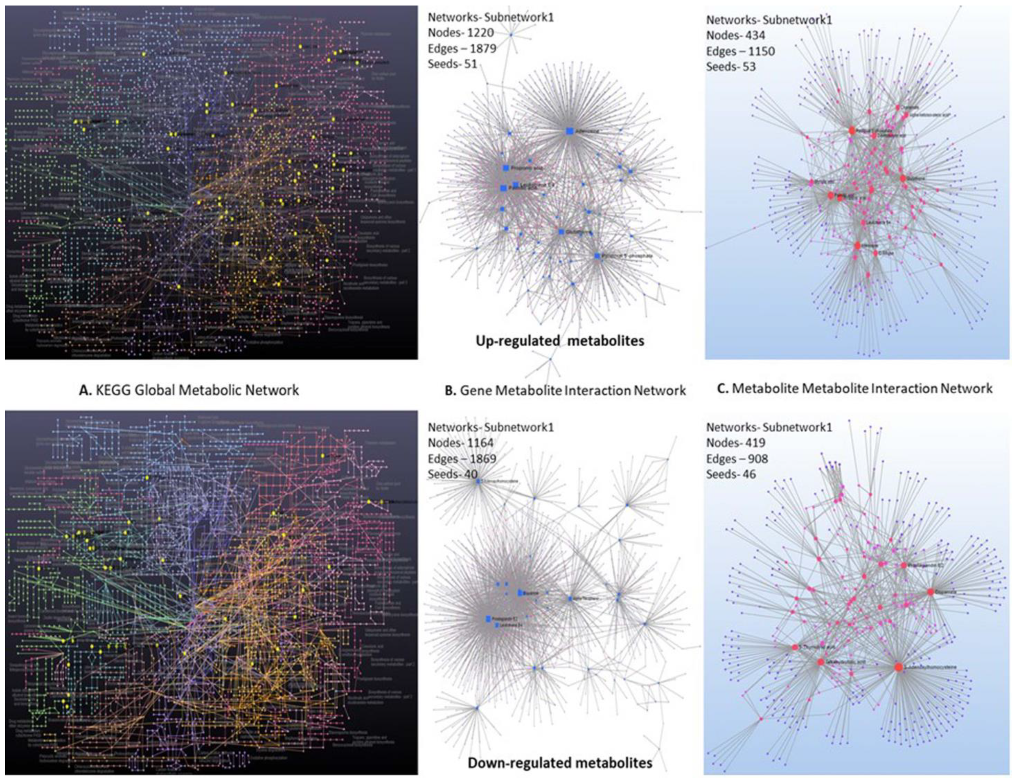 Metabolites 13 00585 g009