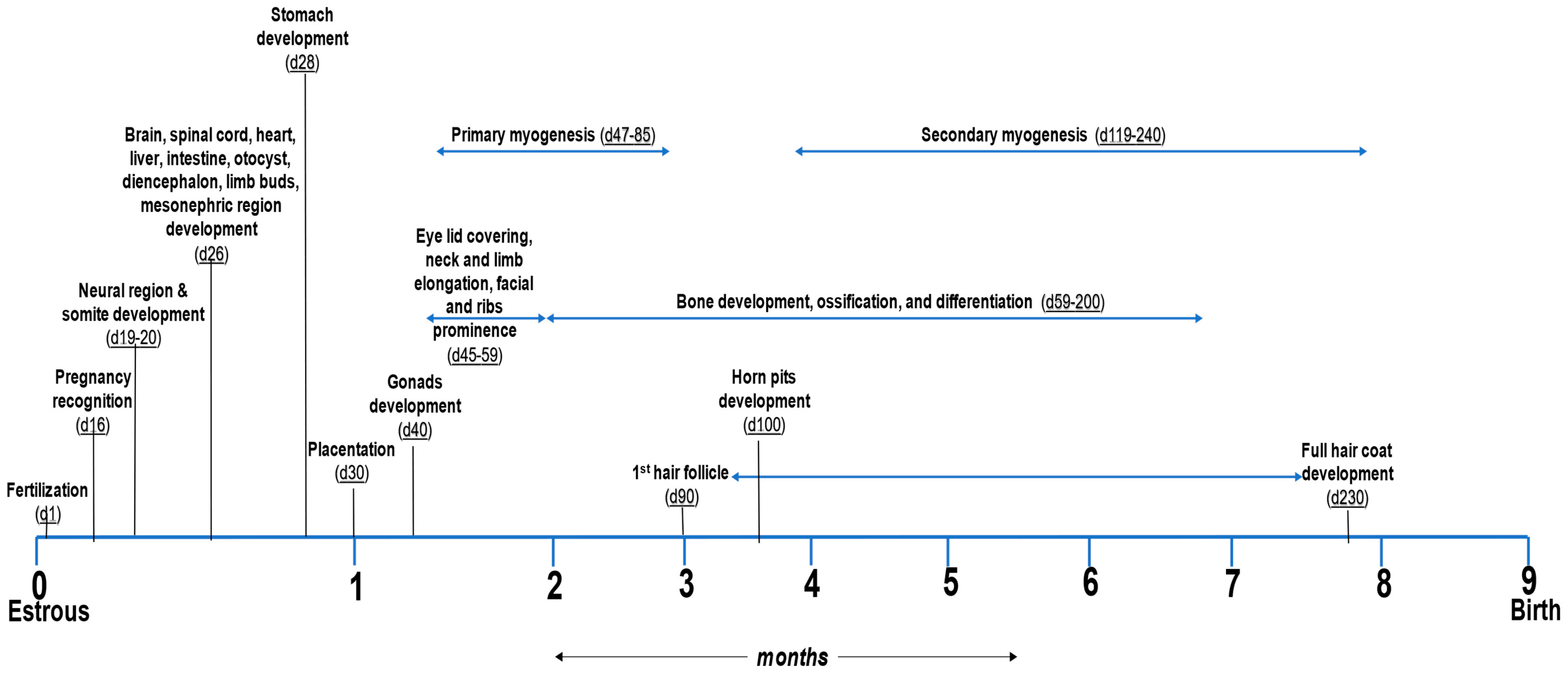 Metabolites 13 00593 g001