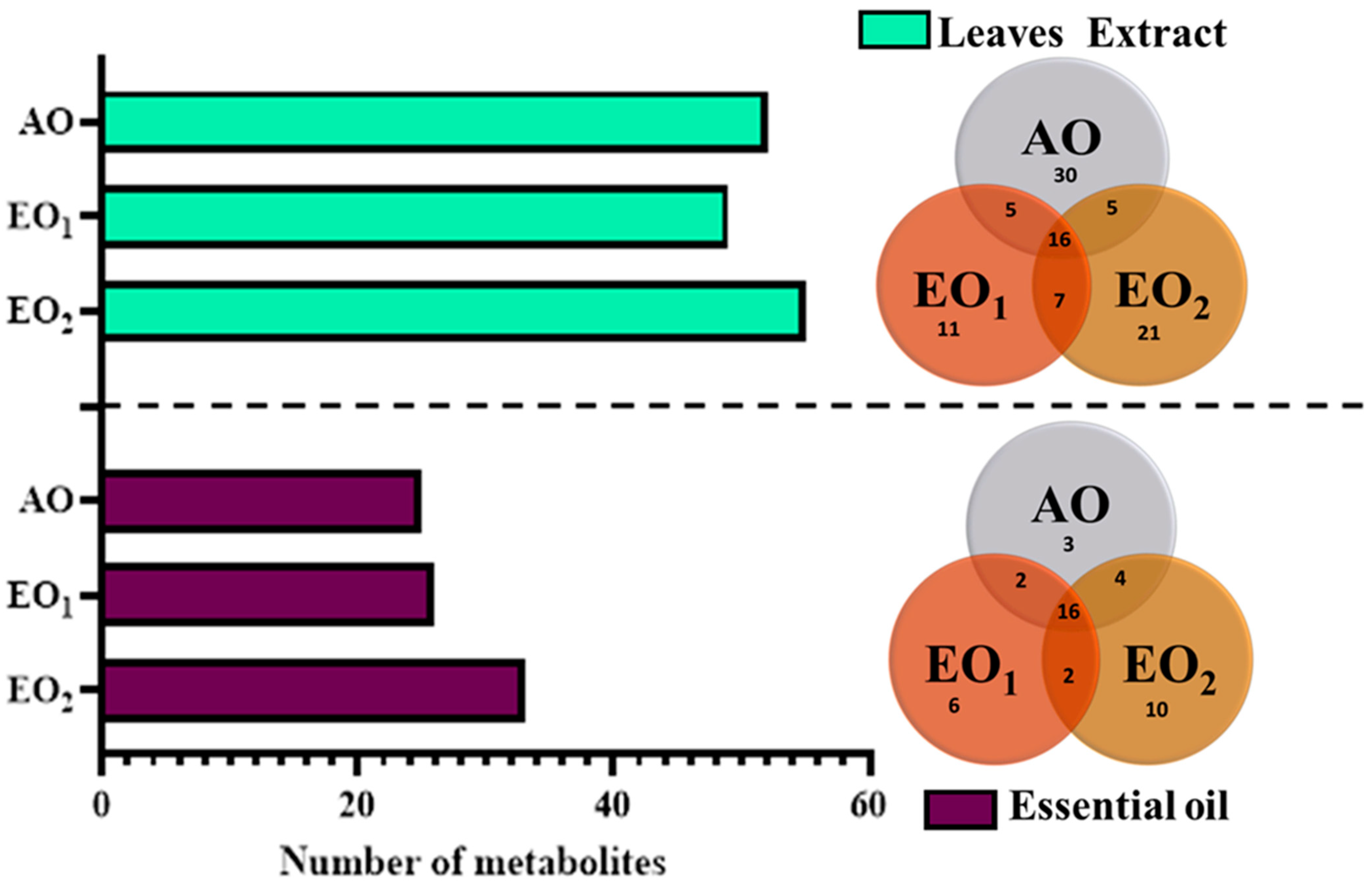 Metabolites 13 00597 g010 Metabolites 13 00597 g010