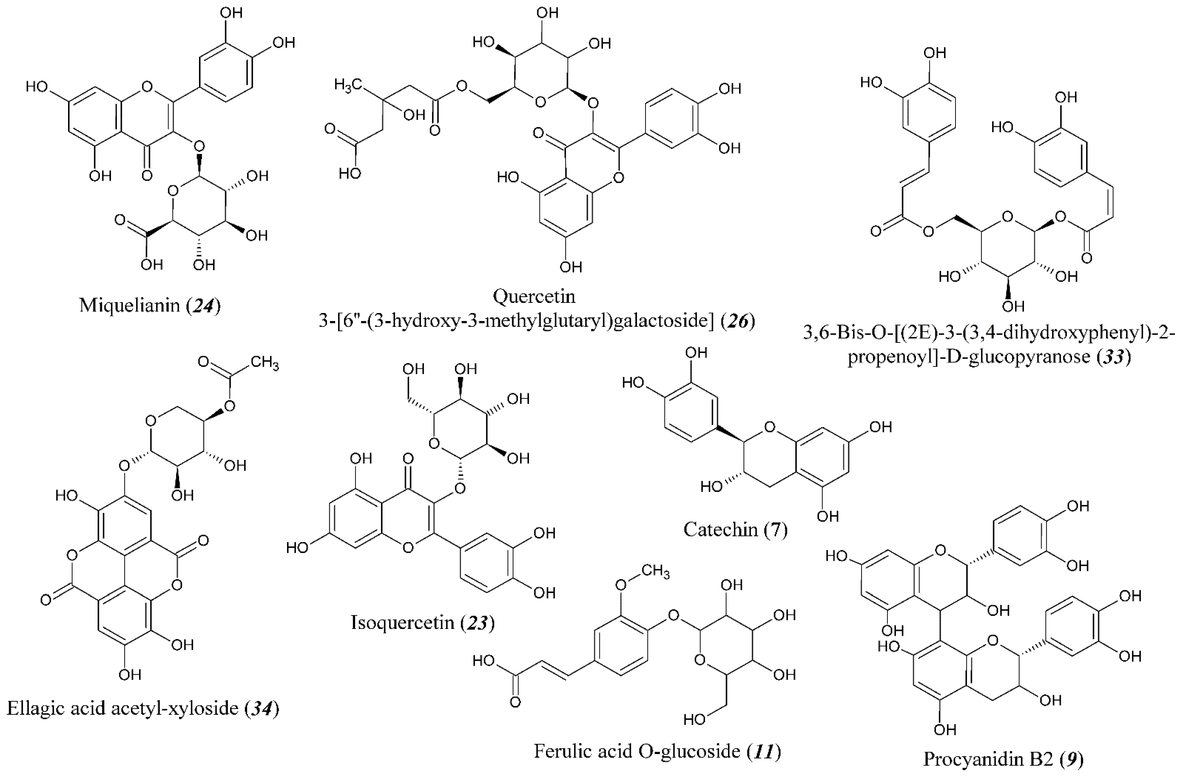 Metabolites 13 00598 g003