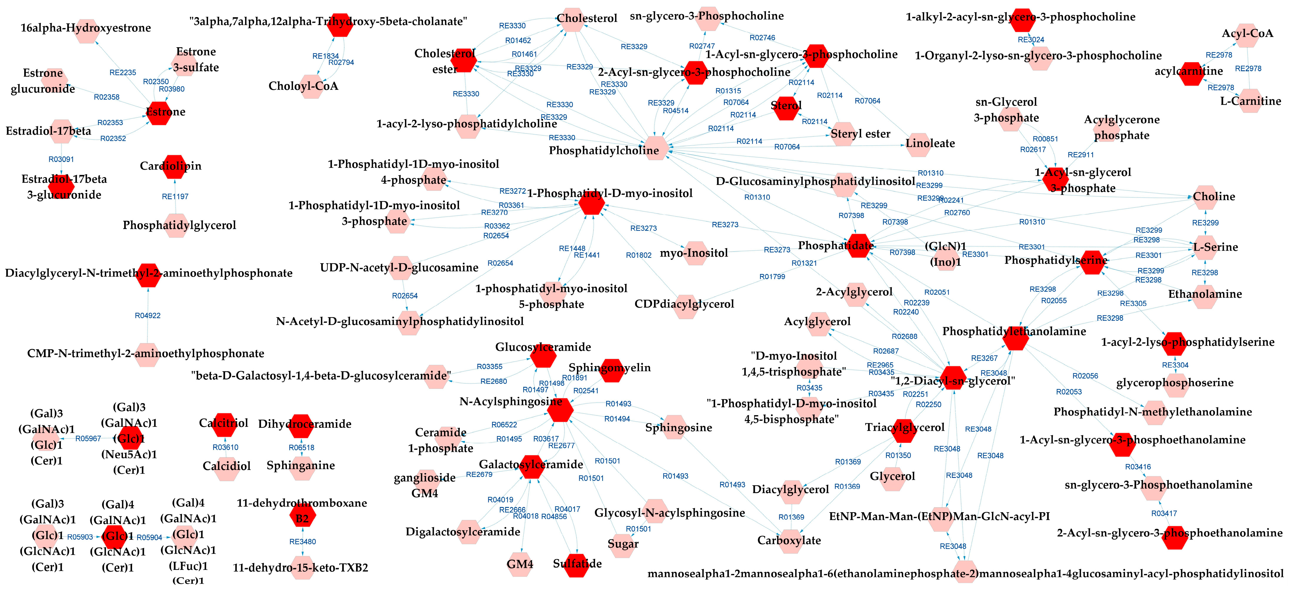 Metabolites 13 00600 g006