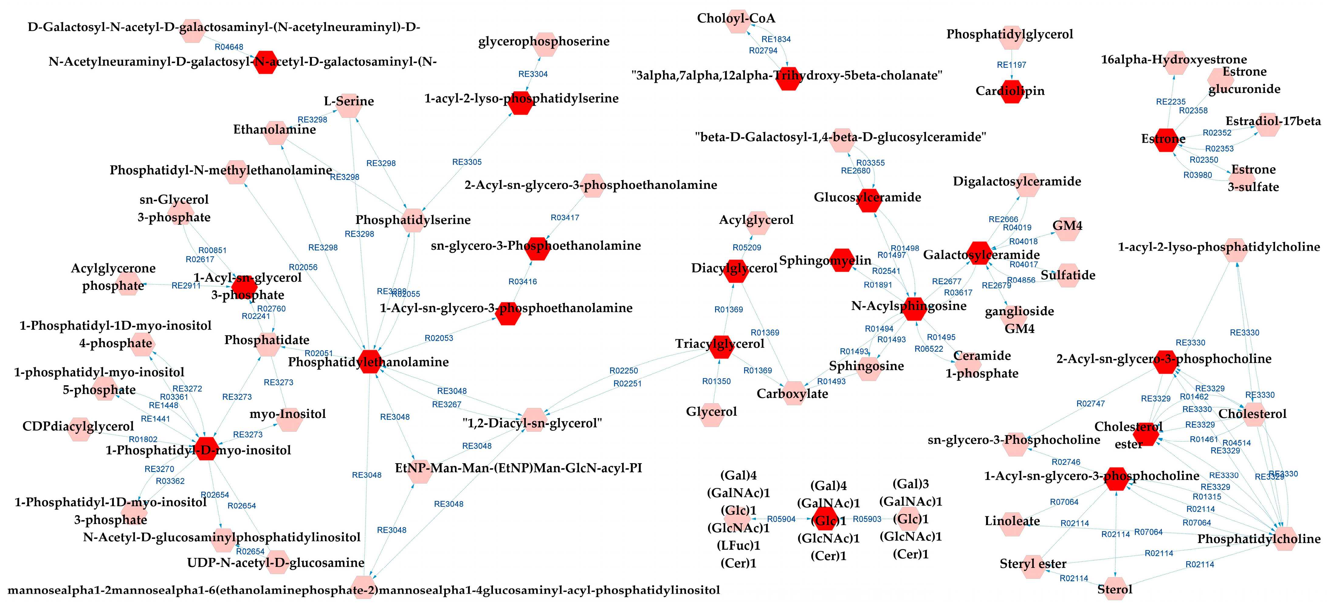 Metabolites 13 00600 g007