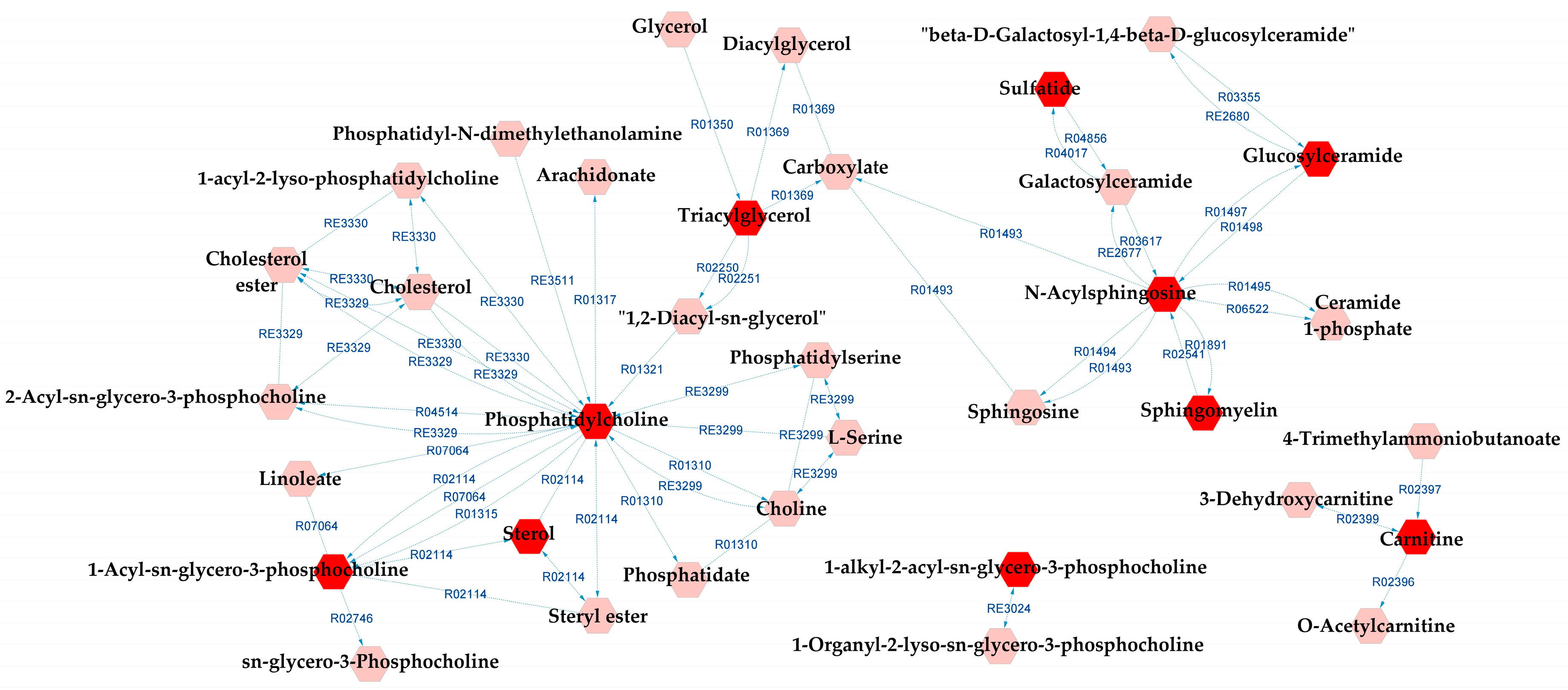 Metabolites 13 00600 g008