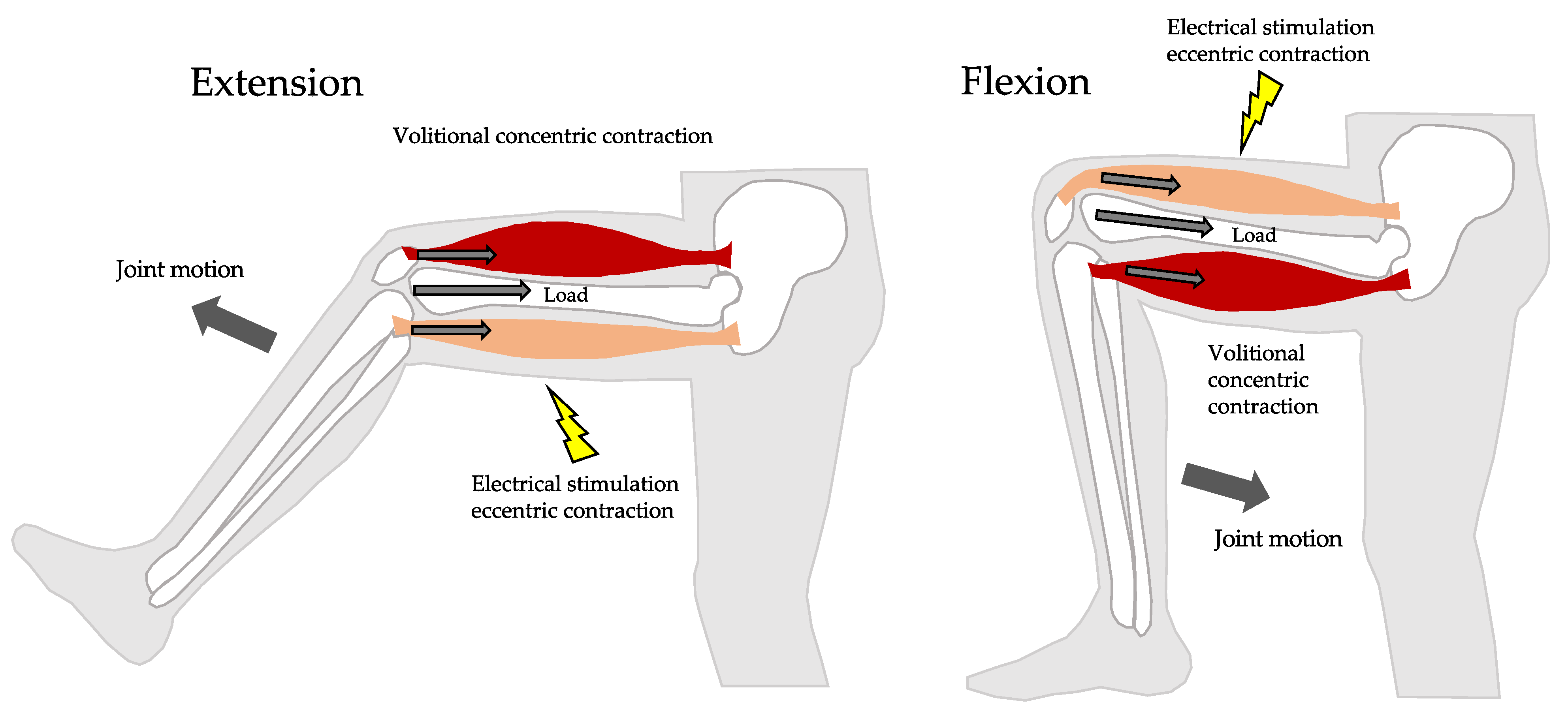 Metabolites 13 00604 g001