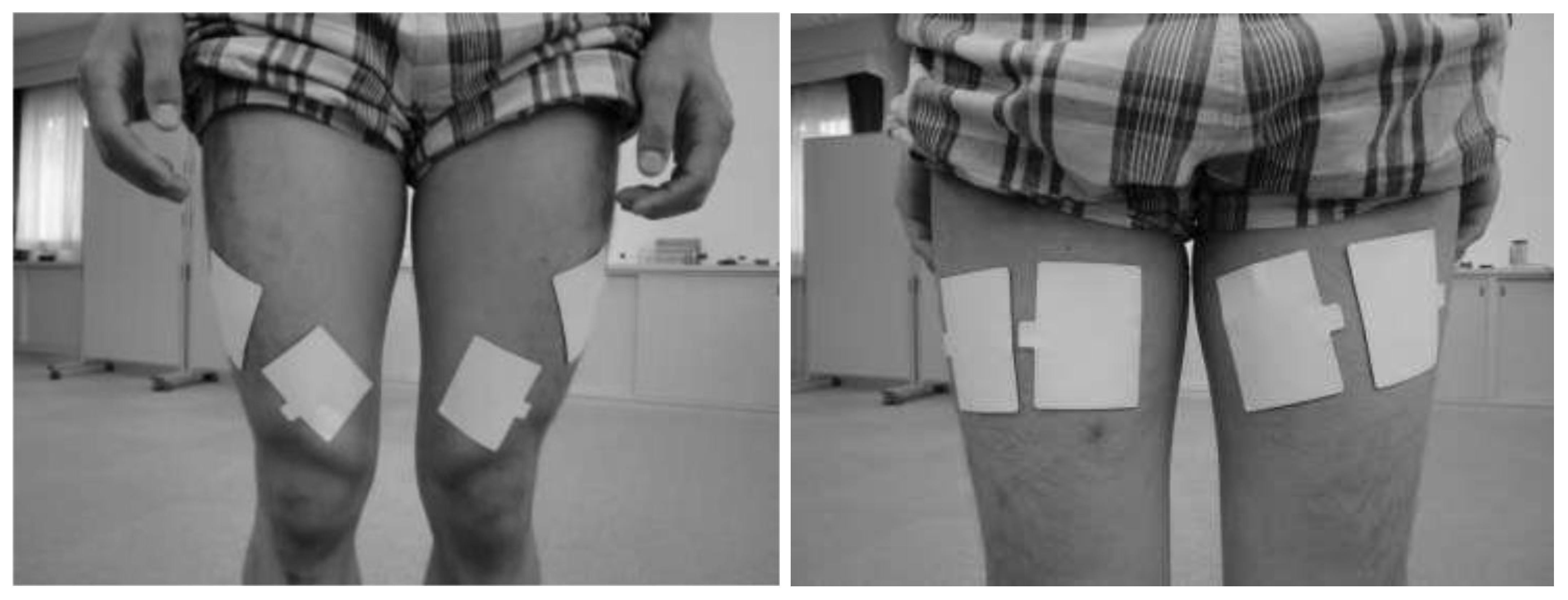 Metabolites 13 00604 g003