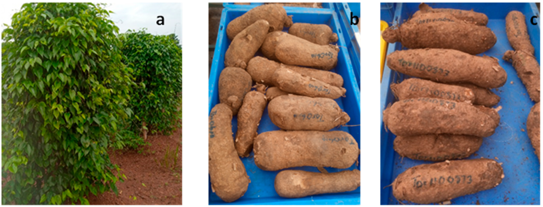 Metabolites 13 00610 g001