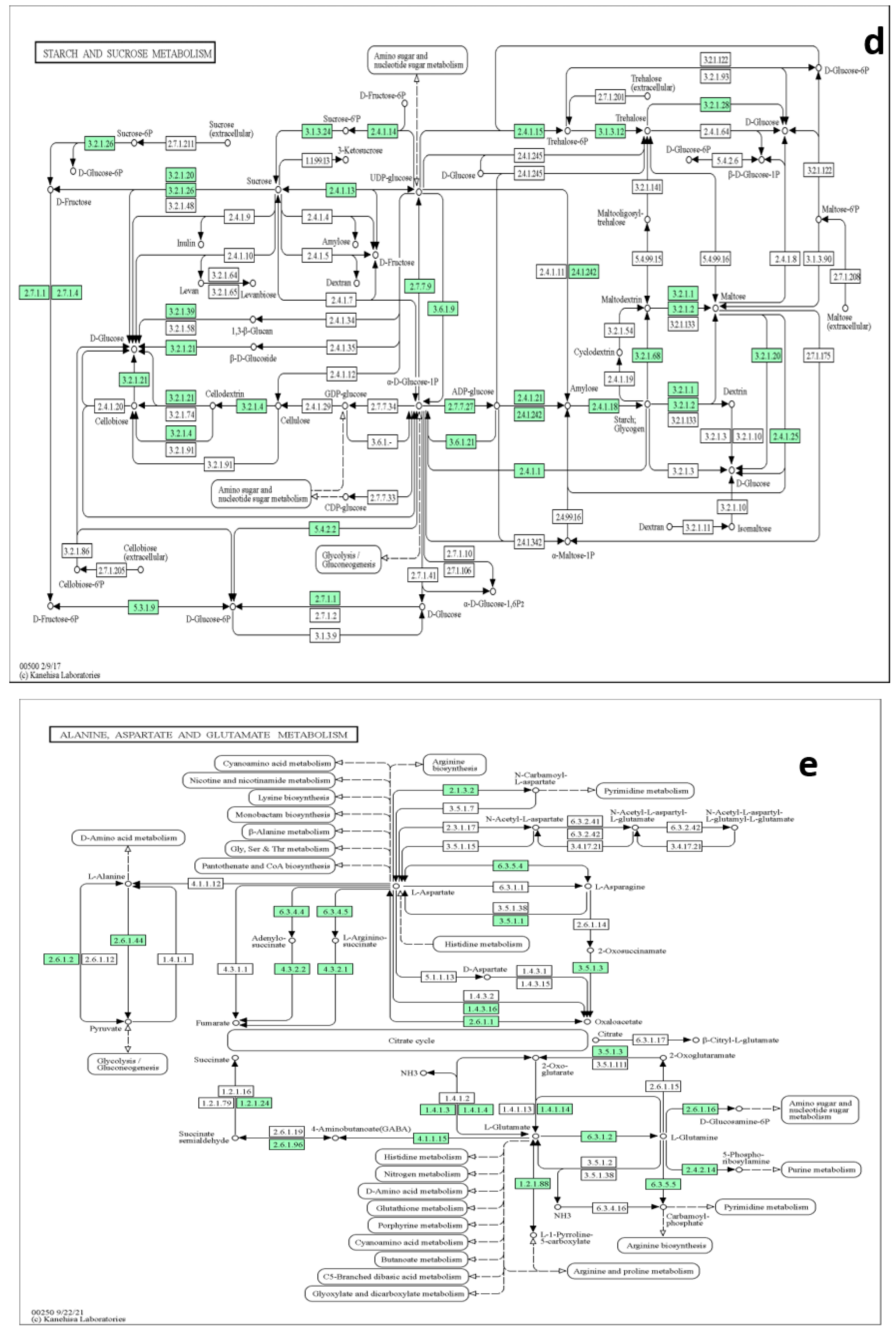 Metabolites 13 00610 g009c