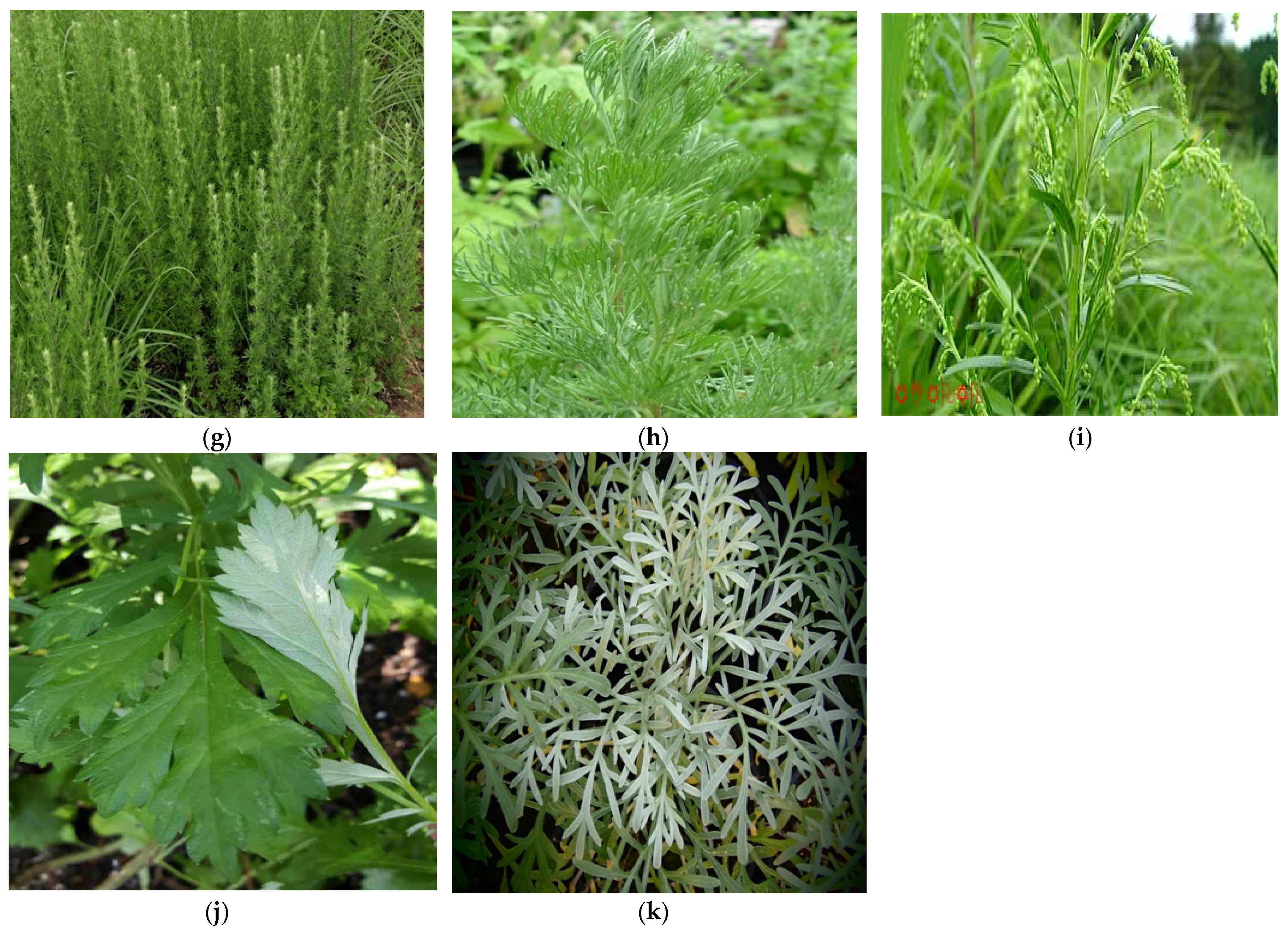 Metabolites 13 00613 g002b