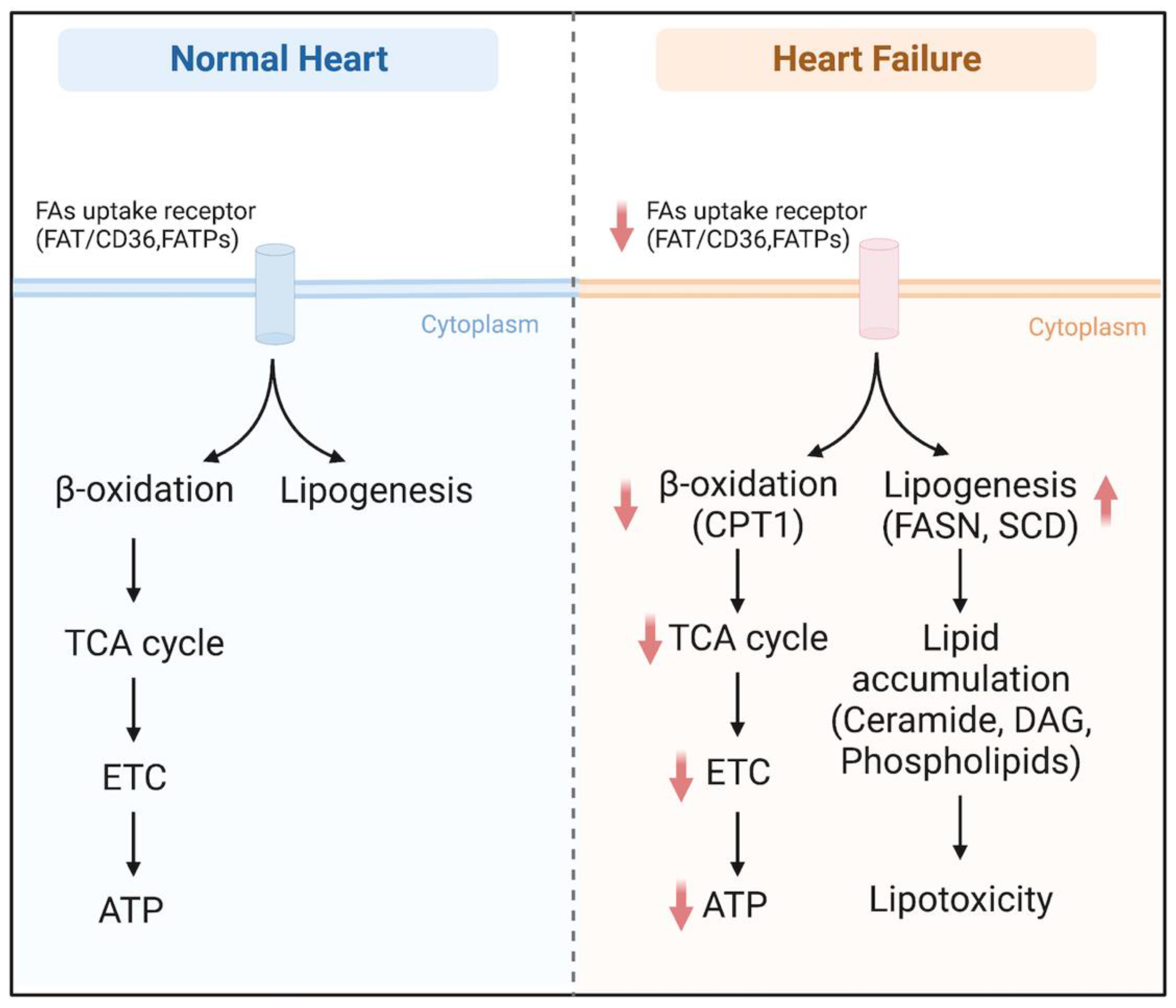 Metabolites 13 00615 g003