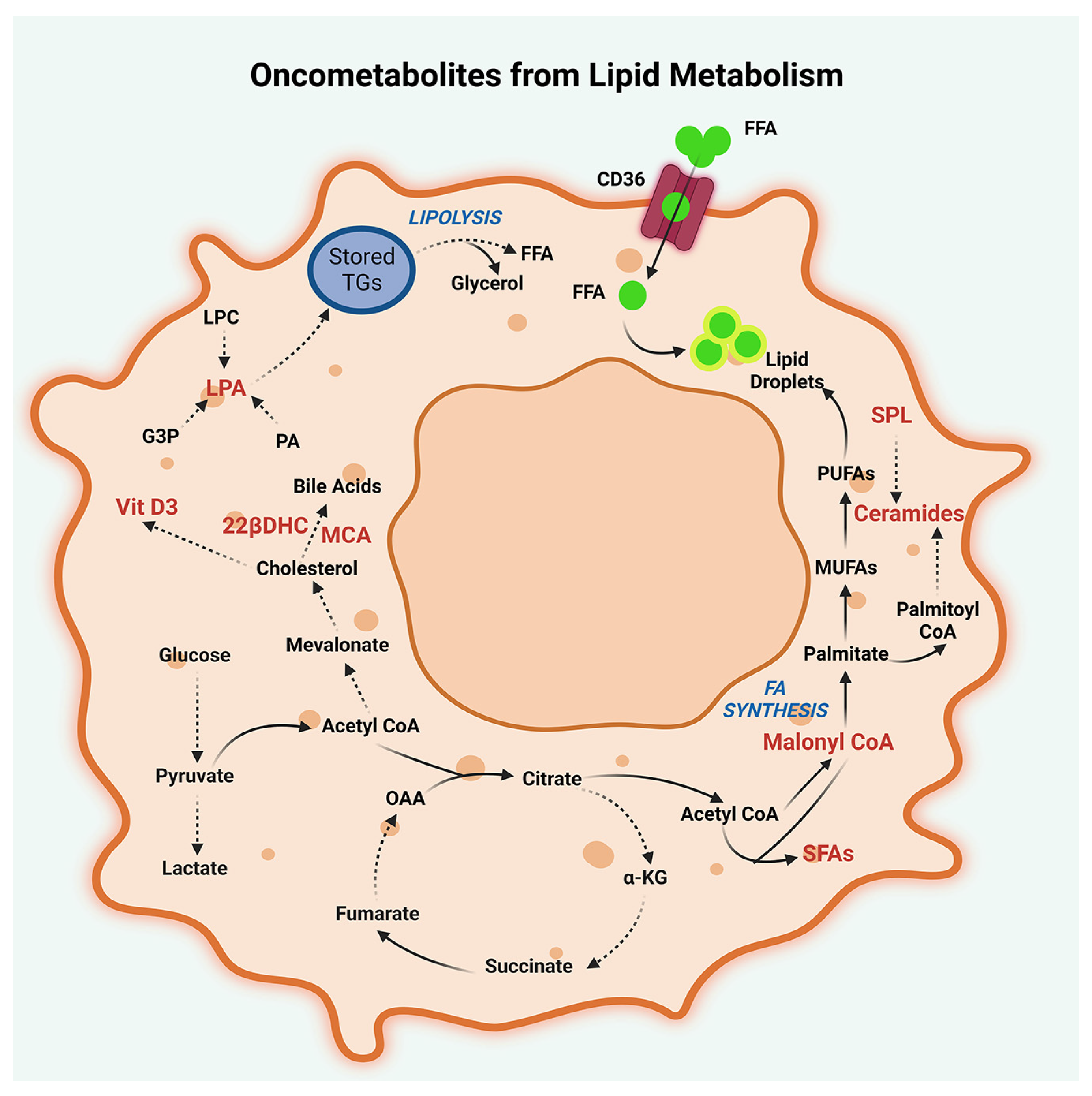 Metabolites 13 00618 g003