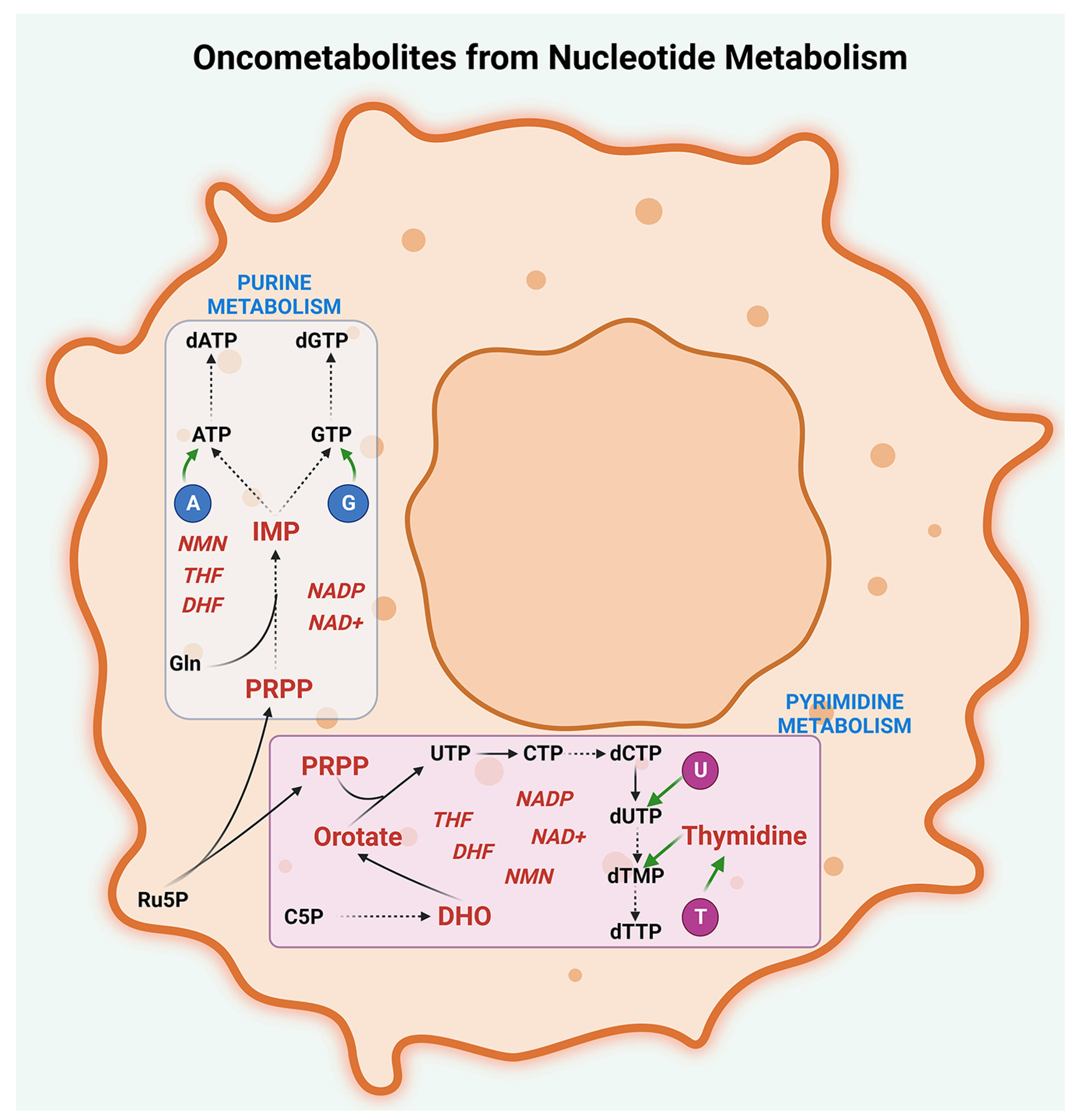 Metabolites 13 00618 g005