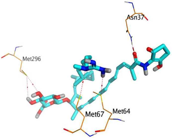Metabolites 13 00620 i001