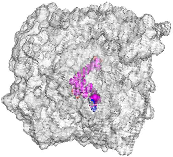Metabolites 13 00620 i004