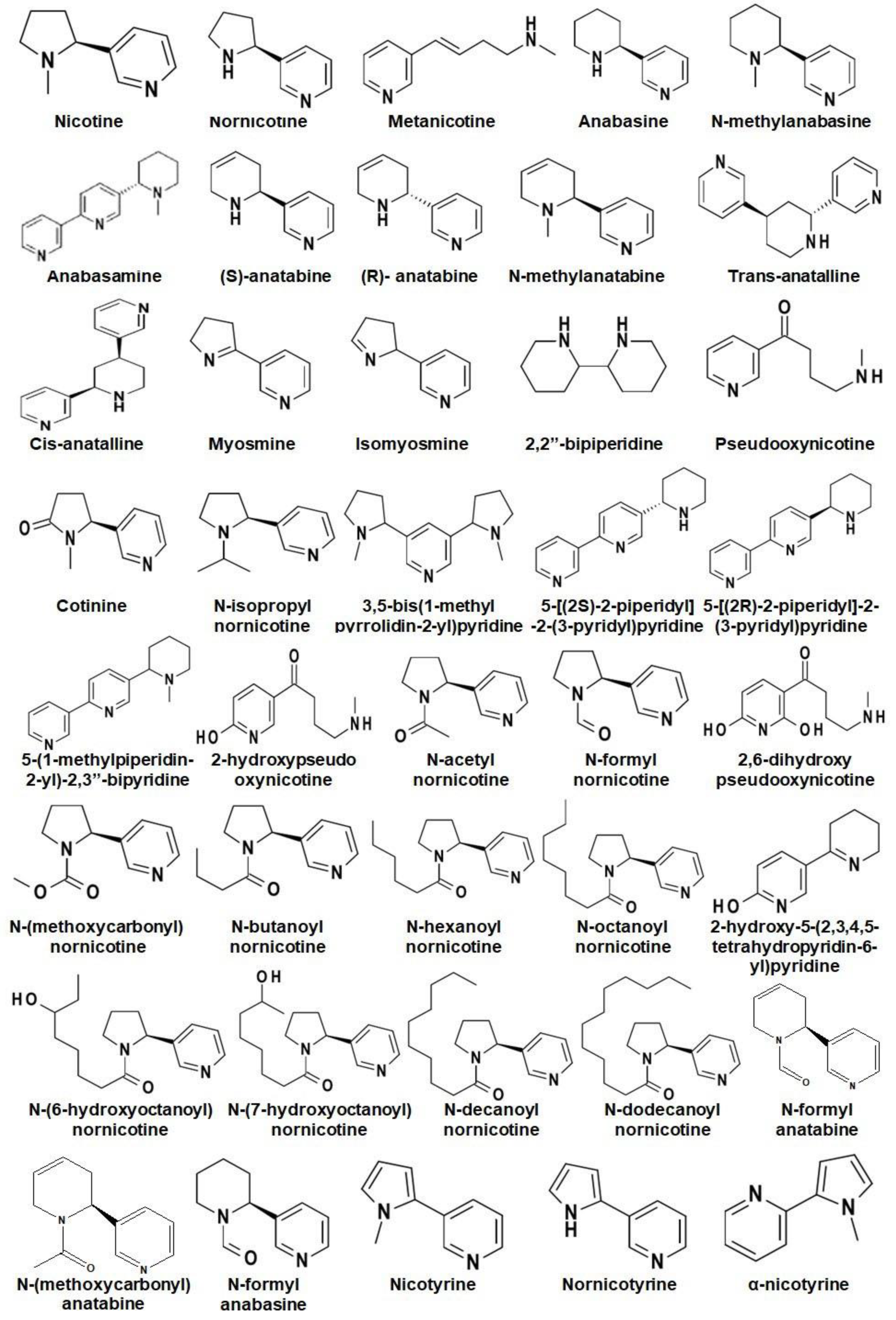 Metabolites 13 00623 g002a