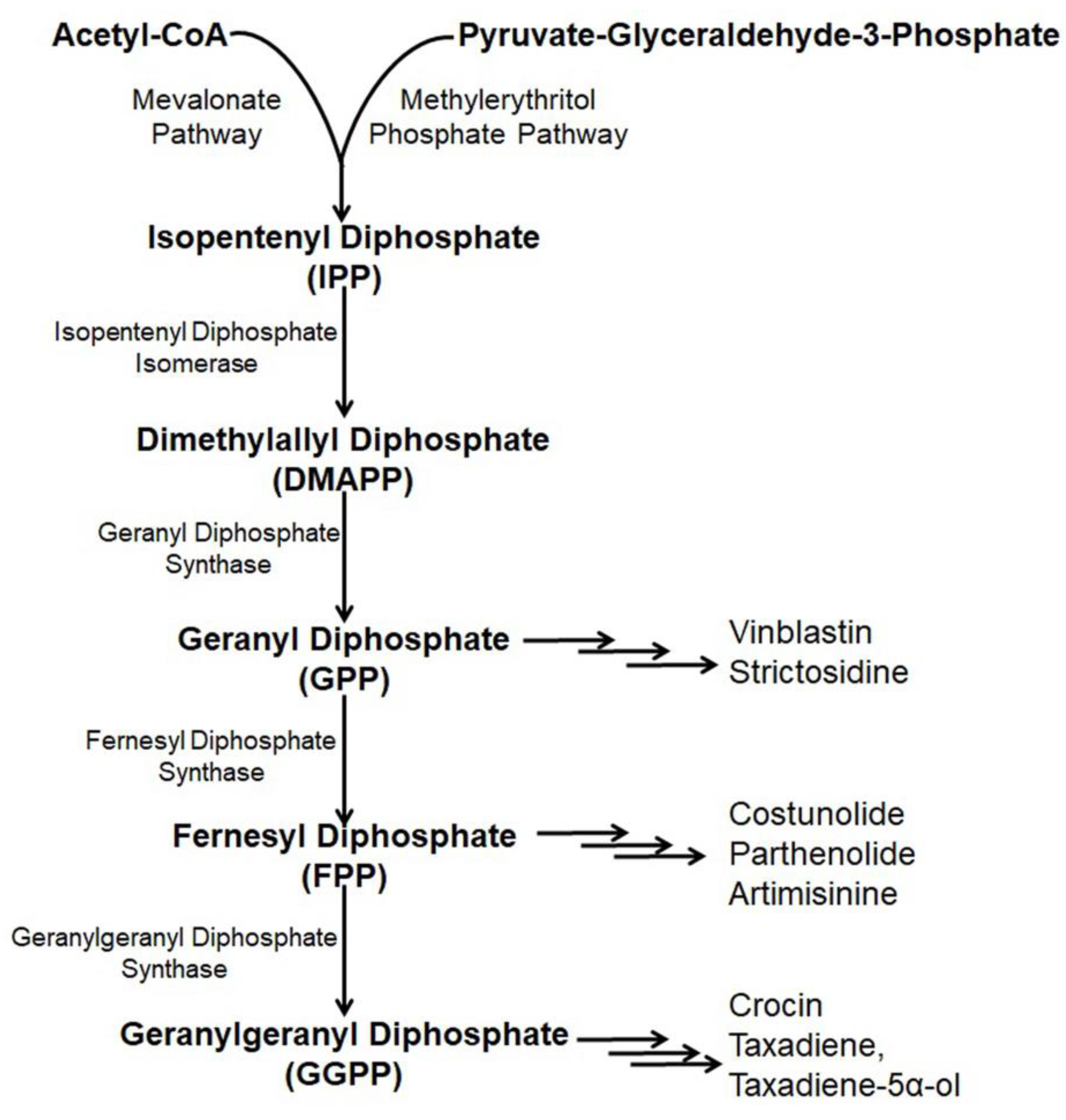 Metabolites 13 00623 g003