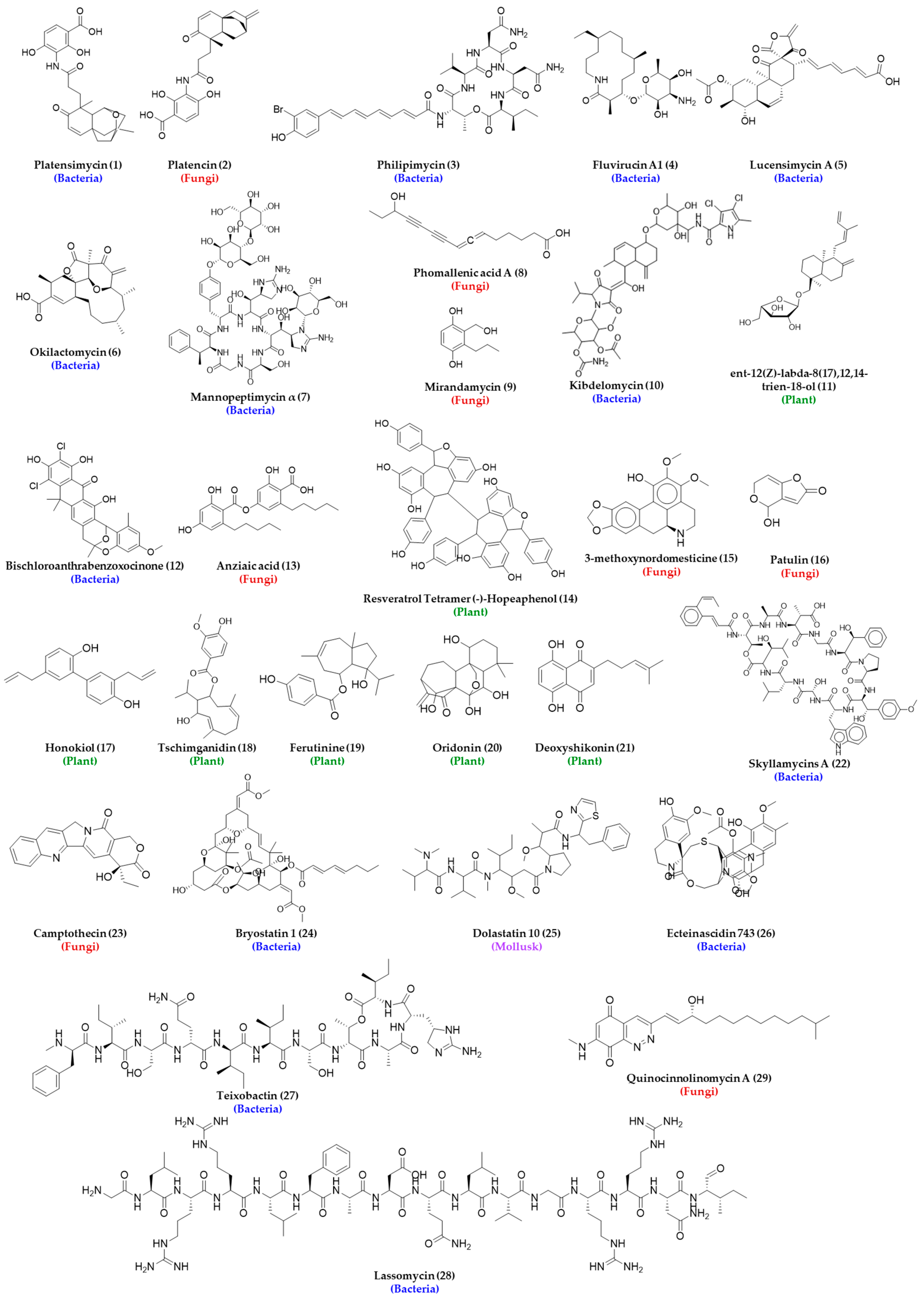 Metabolites 13 00625 g003