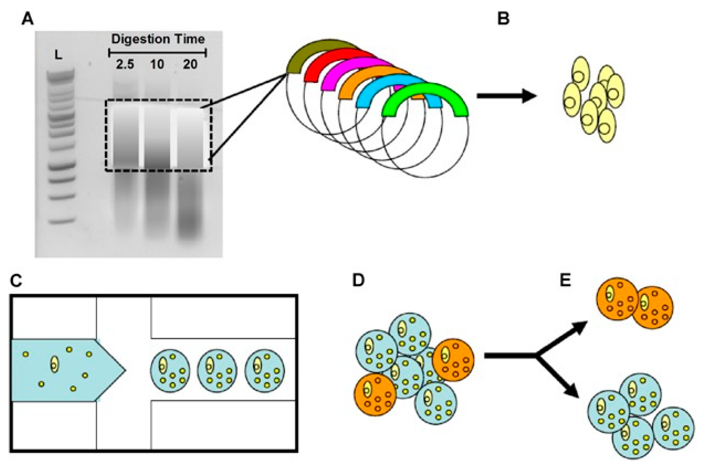 Metabolites 13 00625 g005