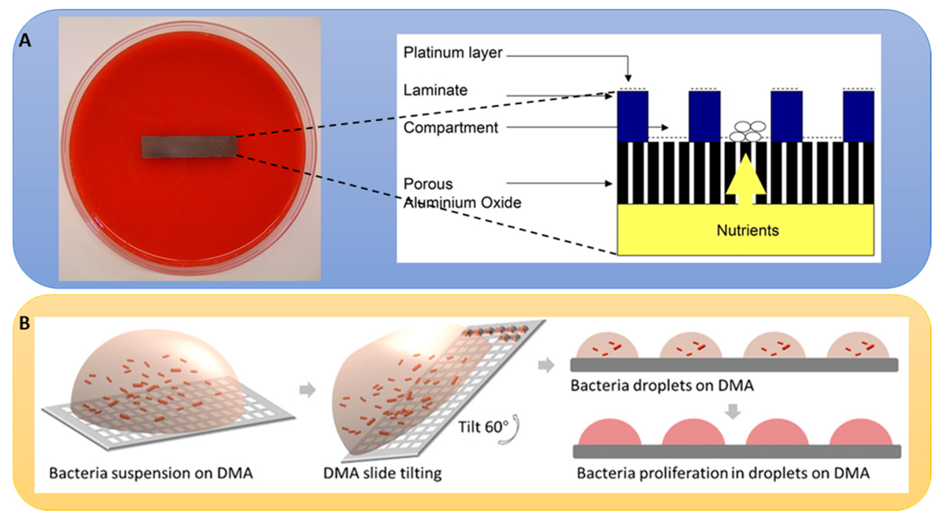 Metabolites 13 00625 g006