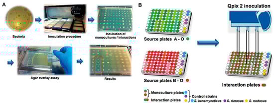 Metabolites 13 00625 g007