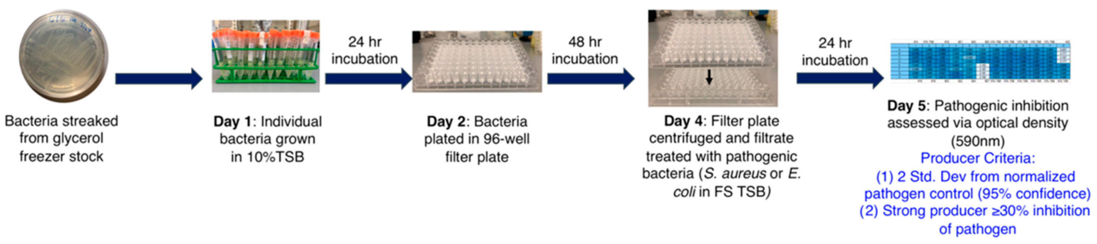 Metabolites 13 00625 g008
