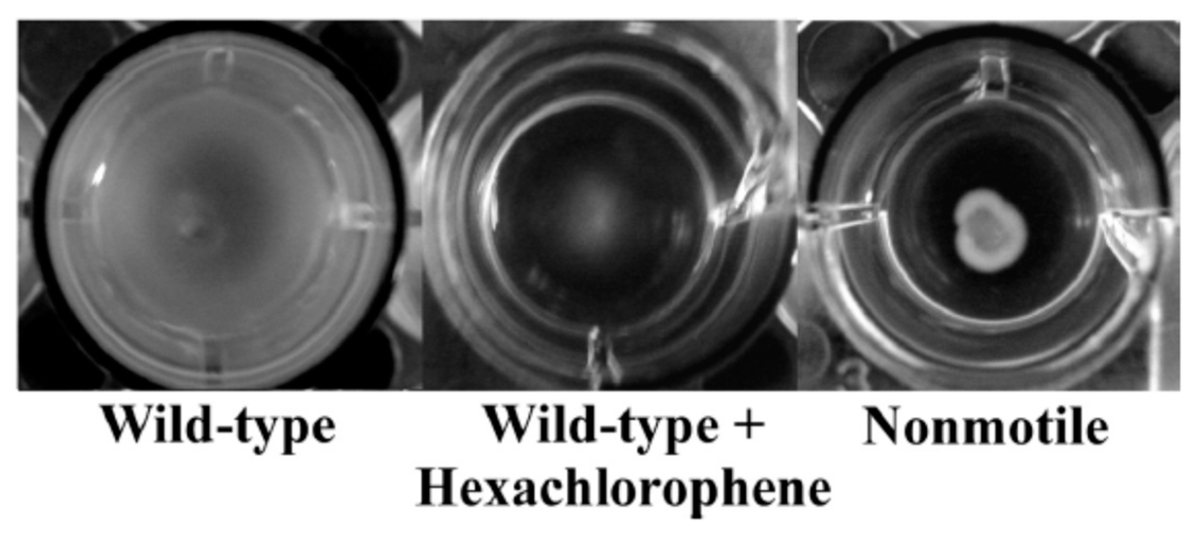 Metabolites 13 00625 g011