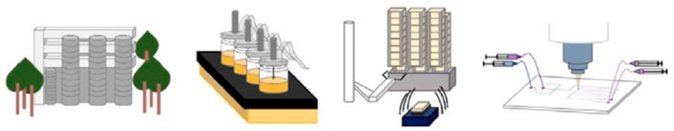 Metabolites 13 00625 i001