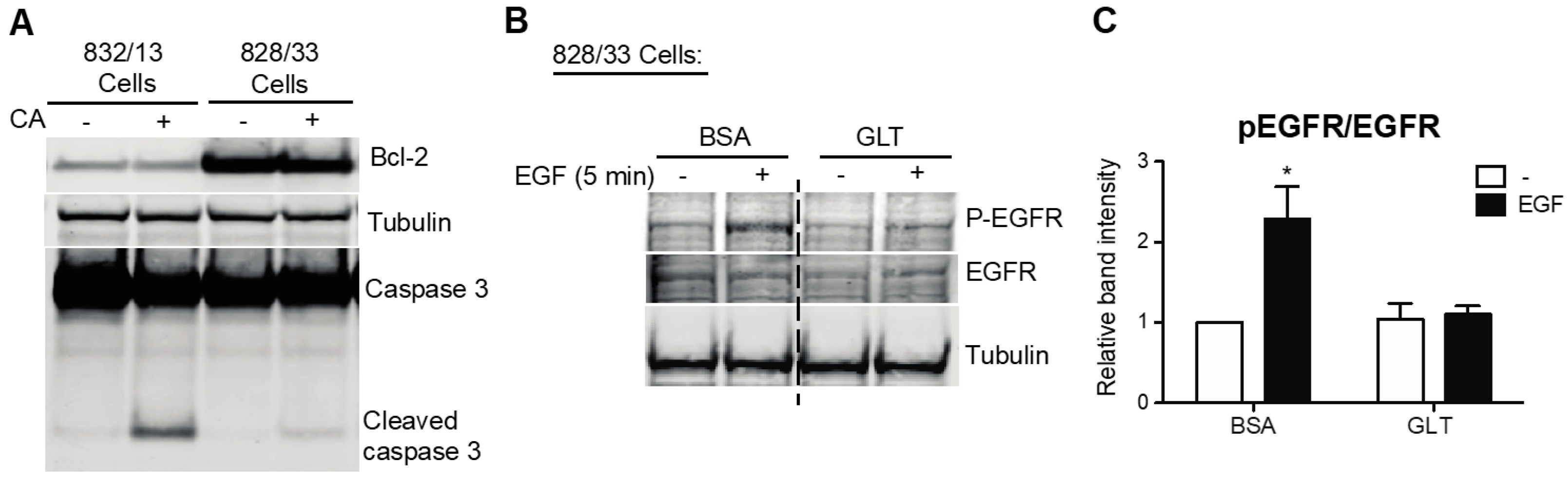 Metabolites 13 00627 g003