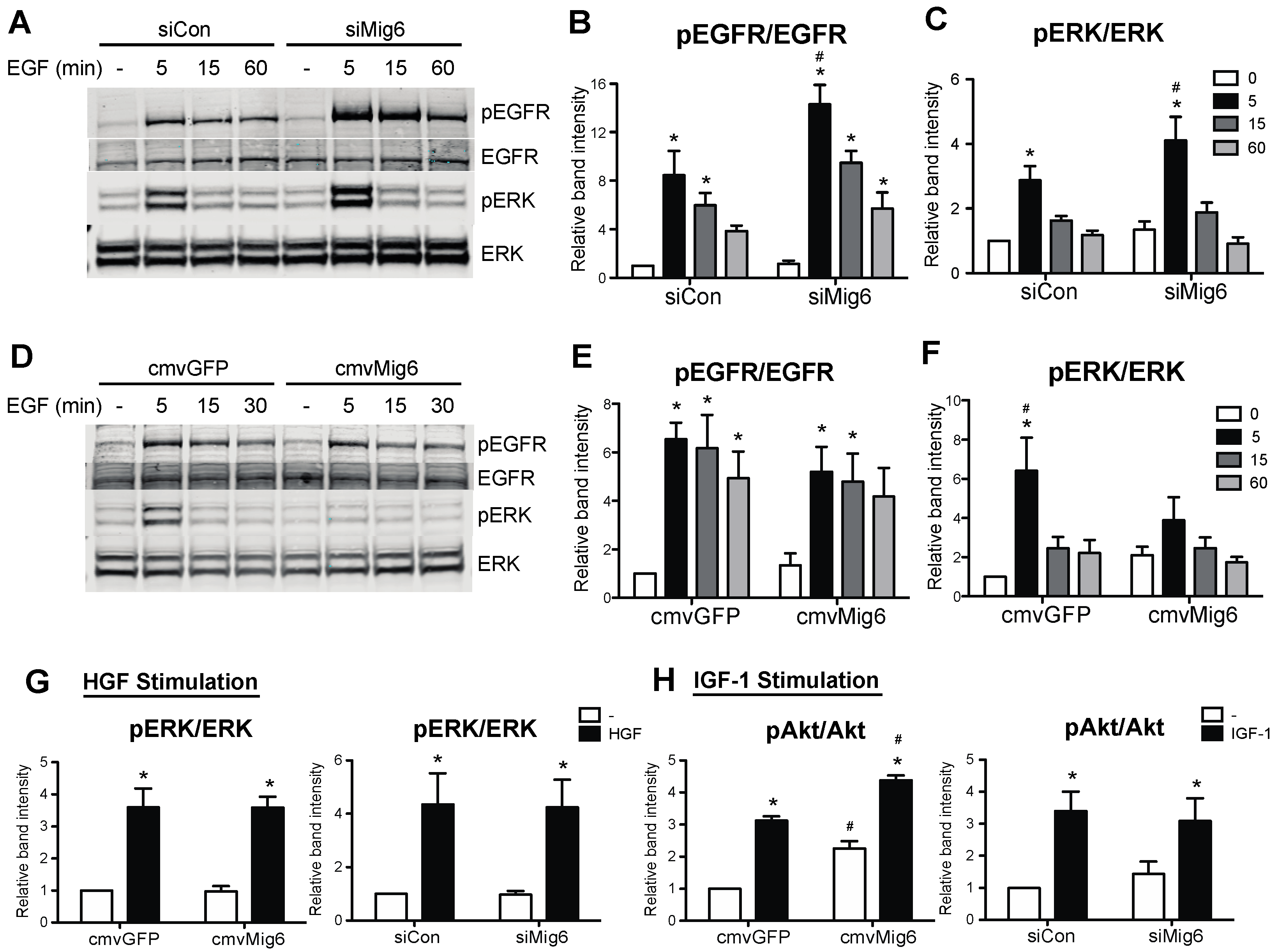 Metabolites 13 00627 g007