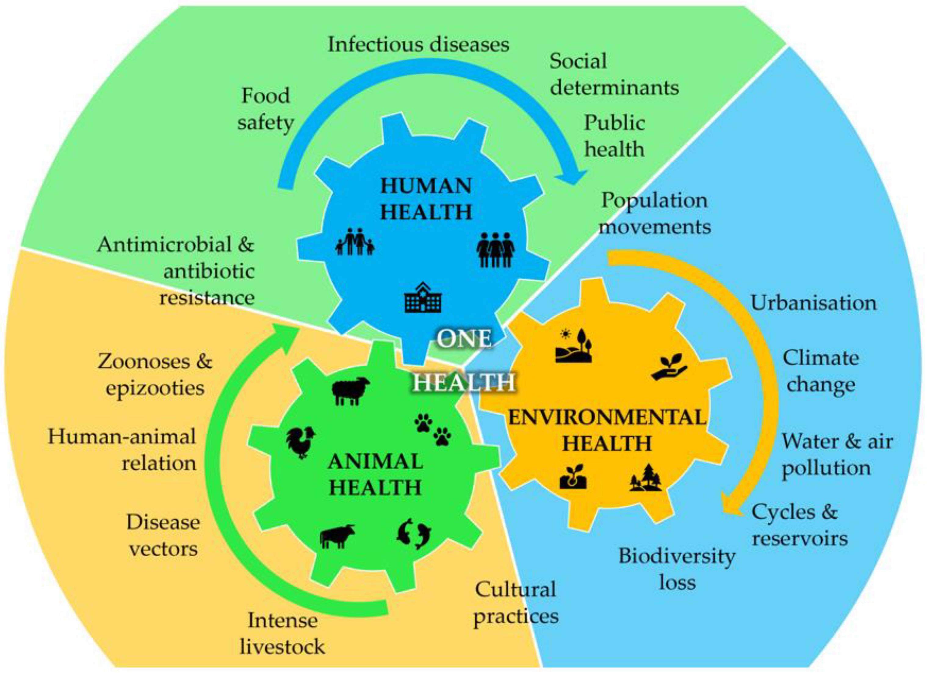 Metabolites 13 00634 g001