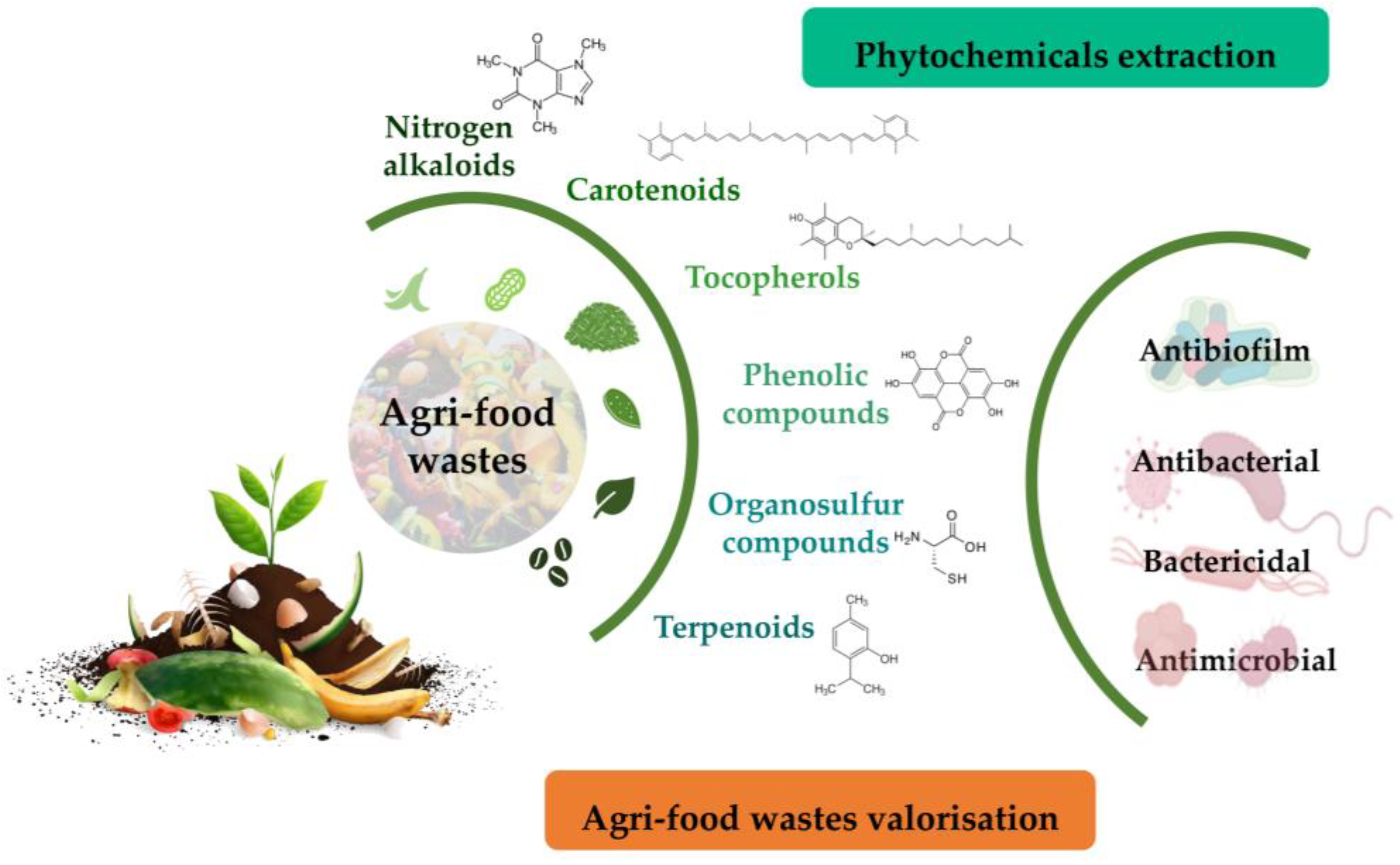 Metabolites 13 00634 g002