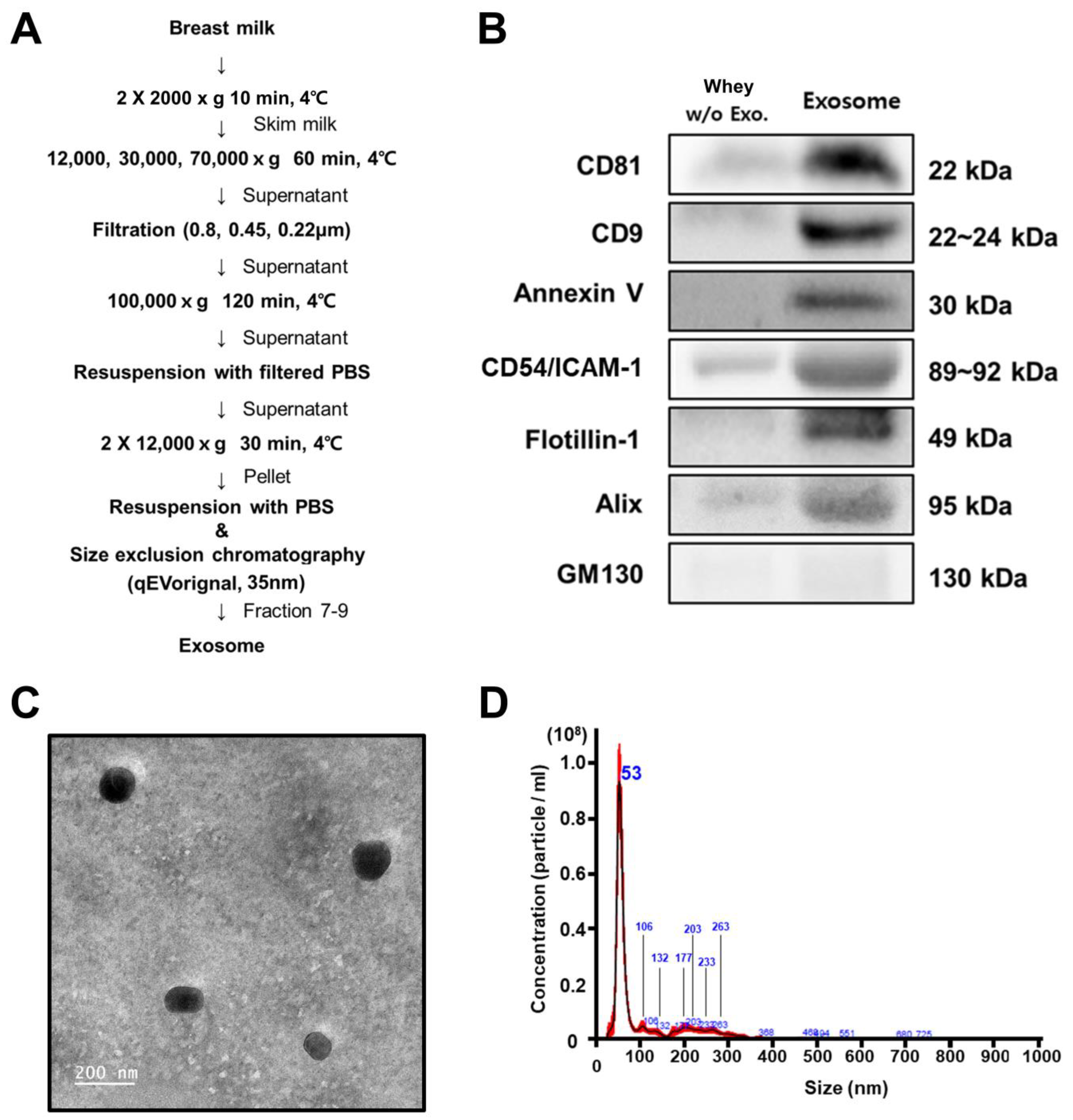 Metabolites 13 00635 g001