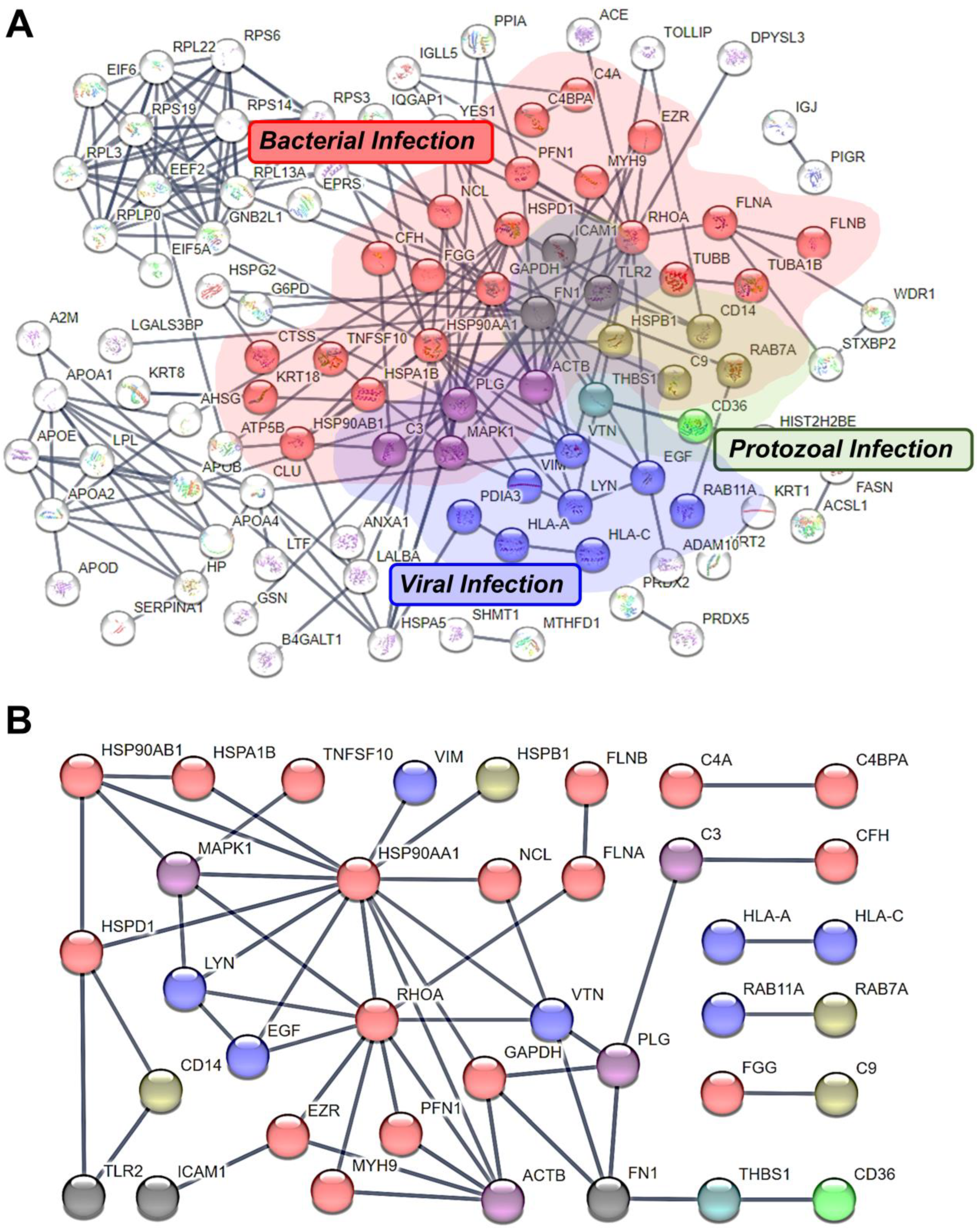 Metabolites 13 00635 g005