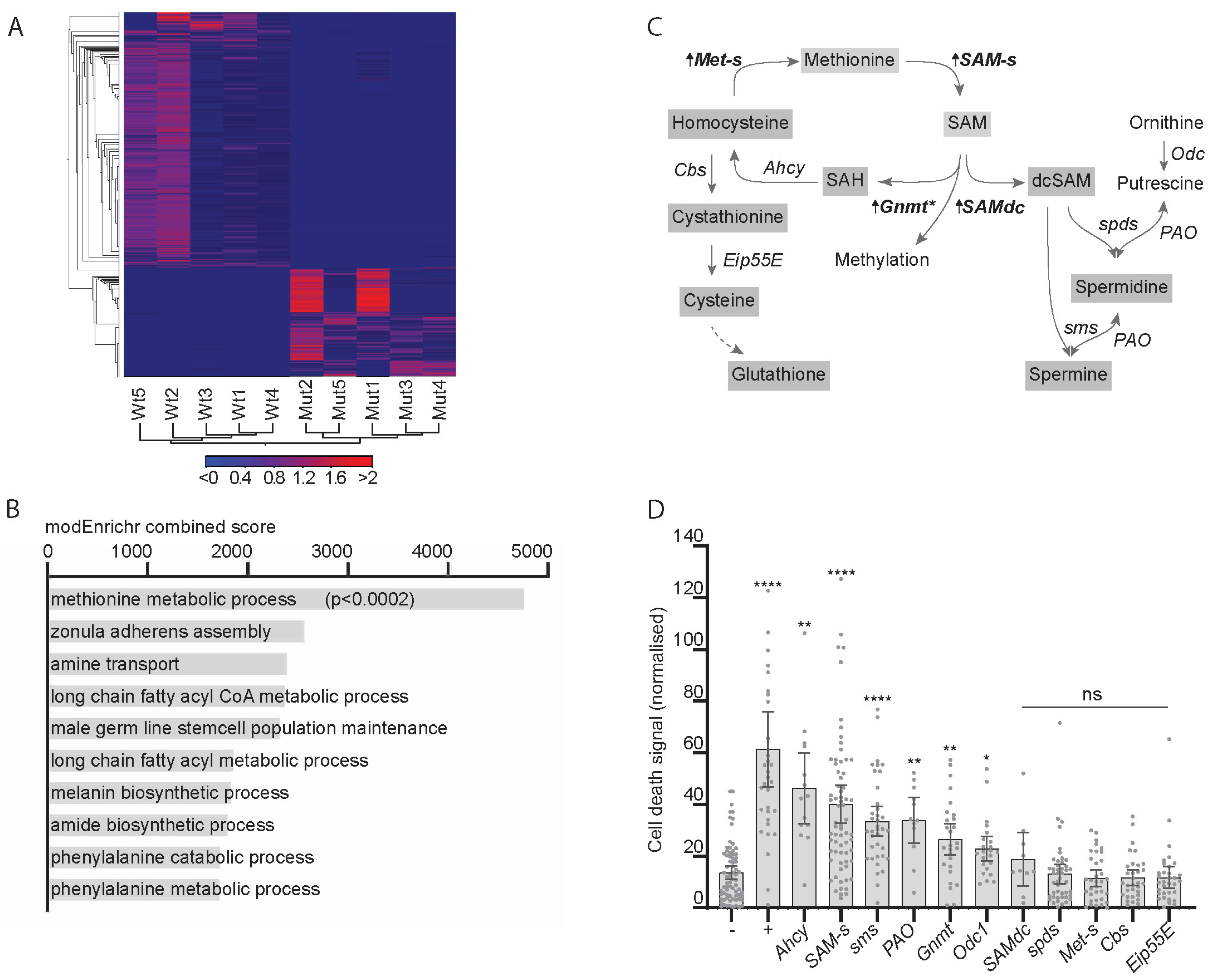 Metabolites 13 00642 g001 Metabolites 13 00642 g001