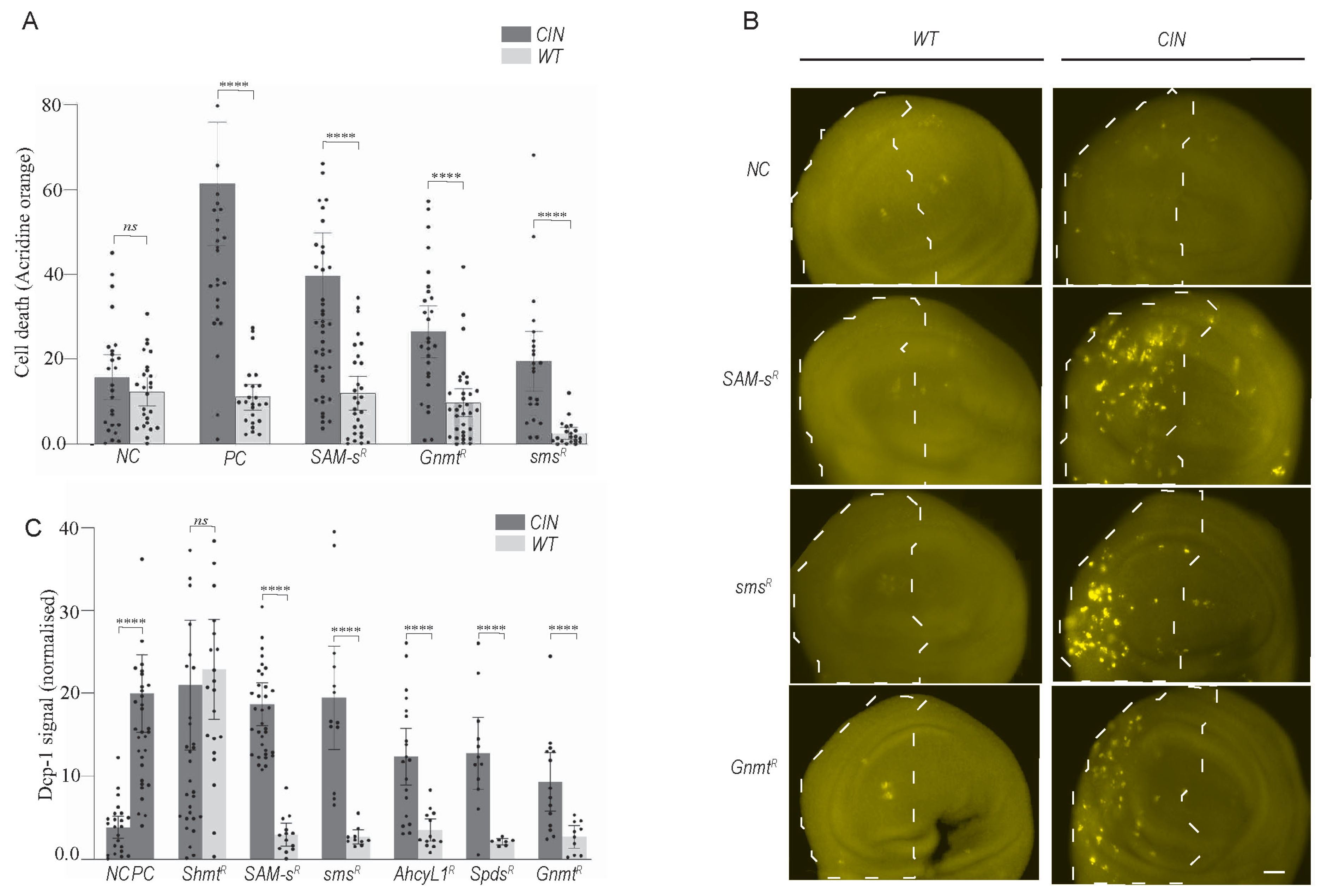Metabolites 13 00642 g002 Metabolites 13 00642 g002