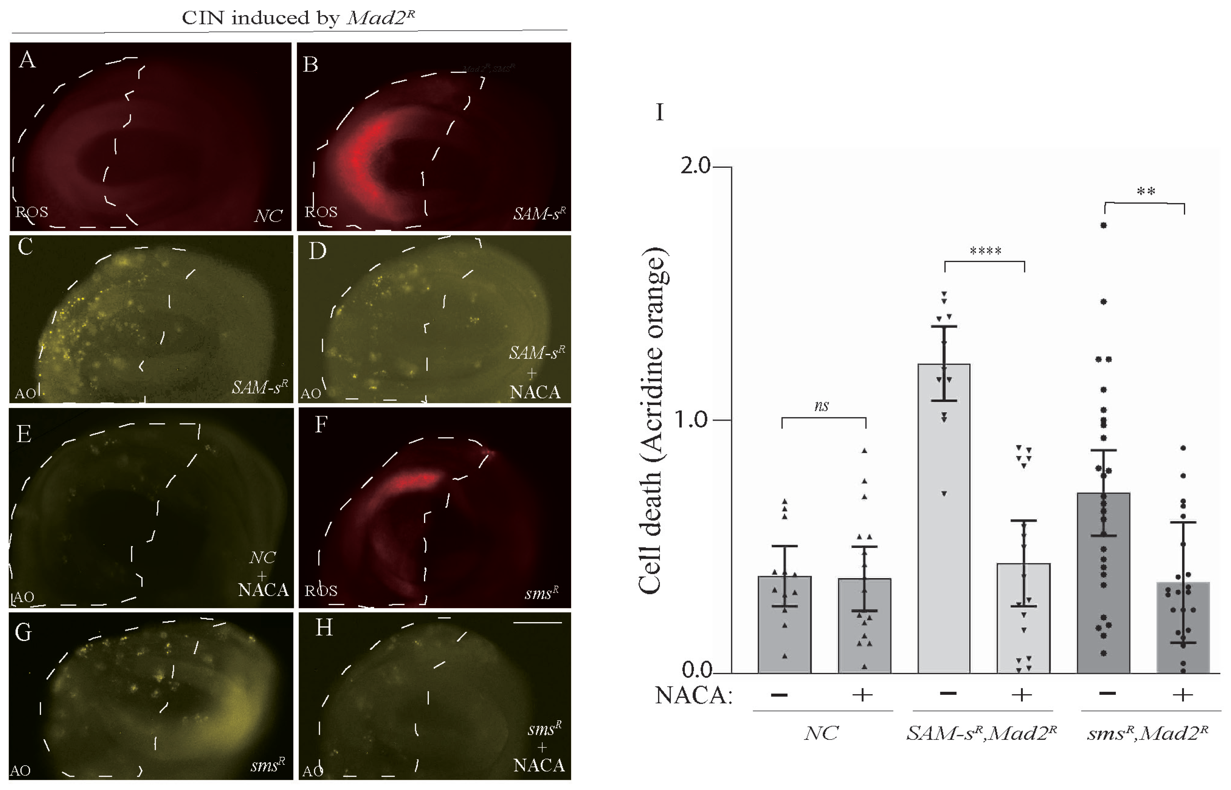 Metabolites 13 00642 g004 Metabolites 13 00642 g004