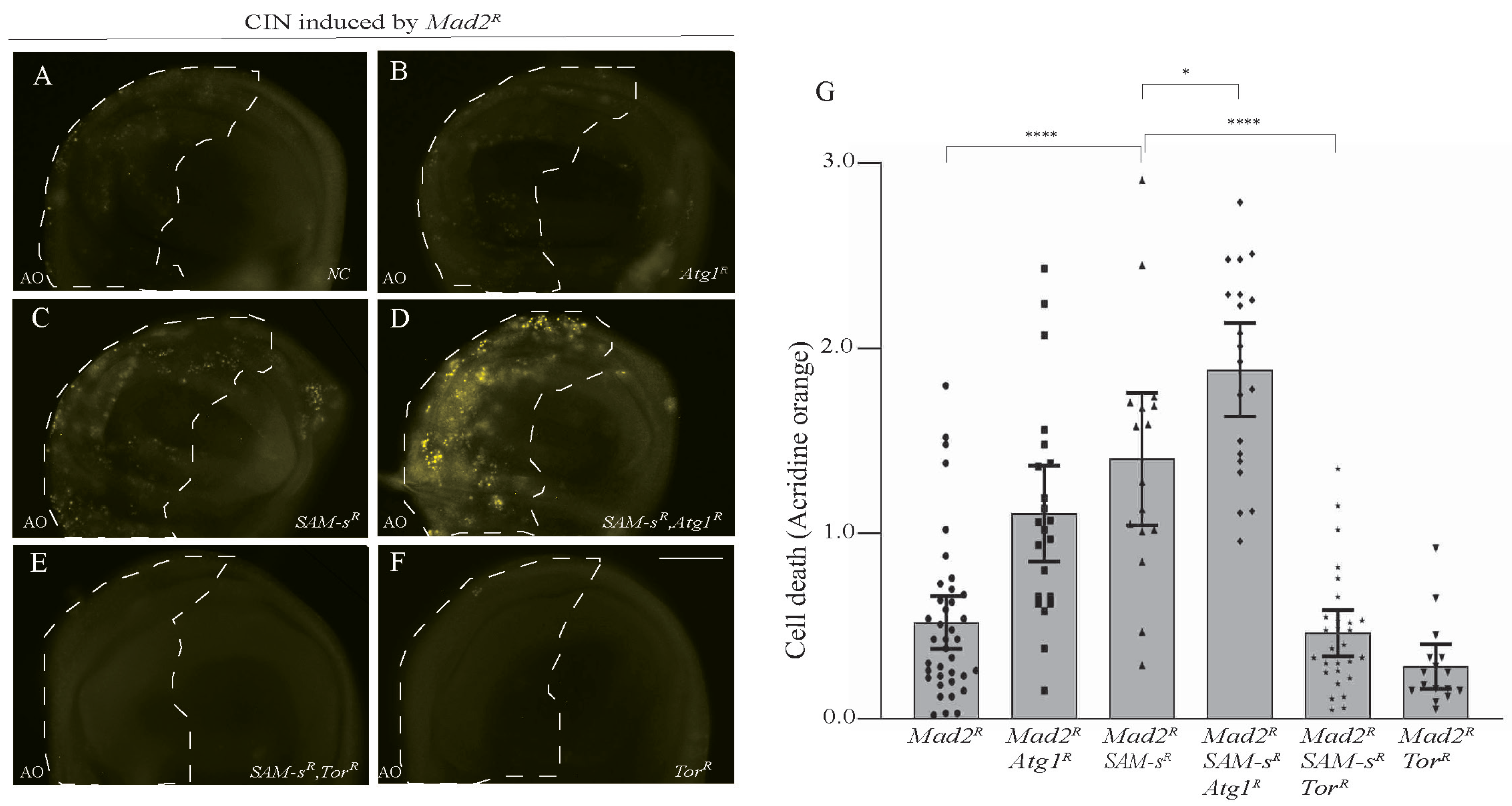 Metabolites 13 00642 g005 Metabolites 13 00642 g005