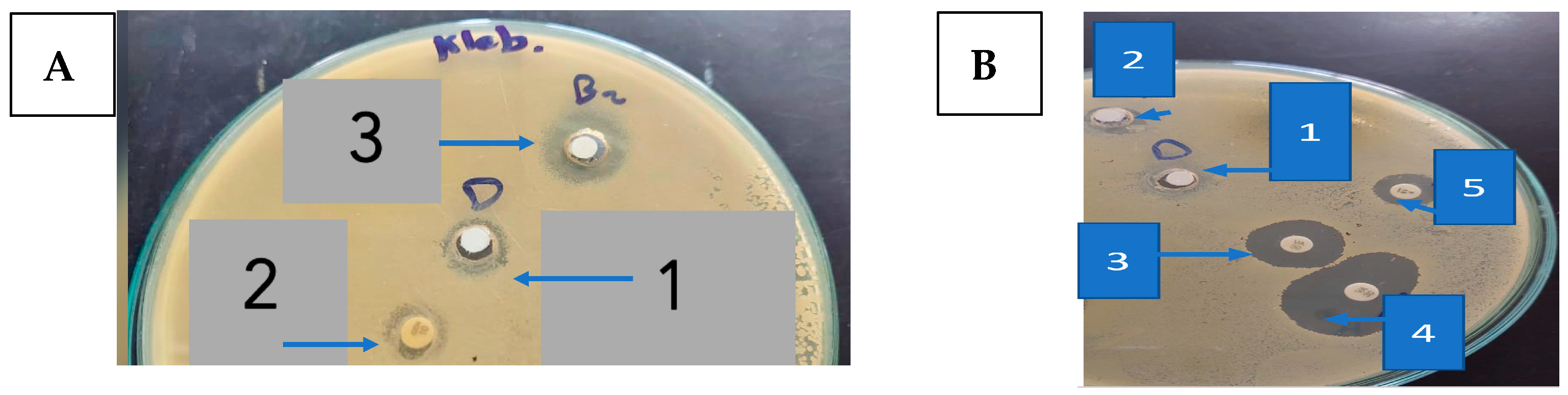 Metabolites 13 00643 g002