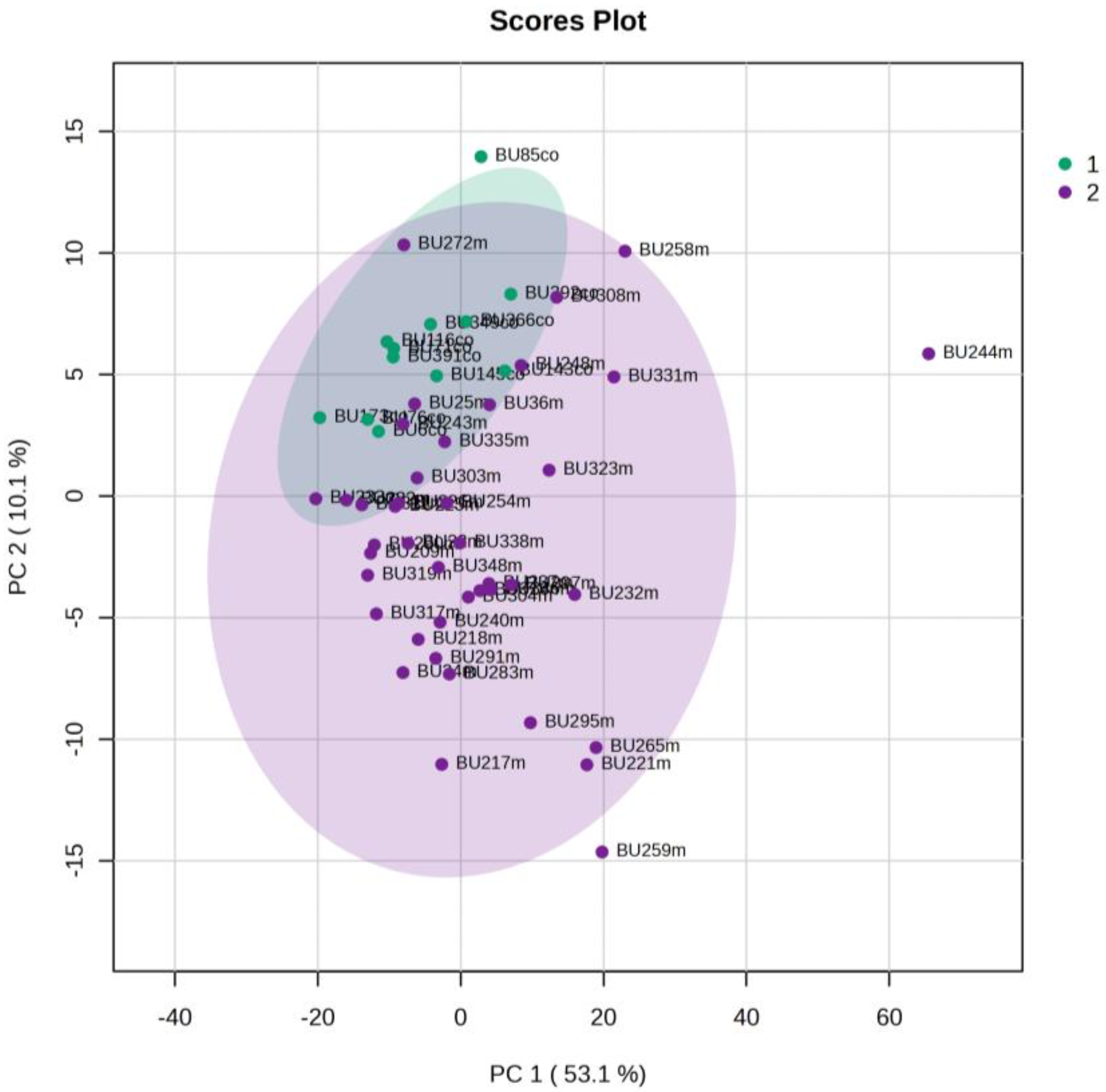 Metabolites 13 00644 g003