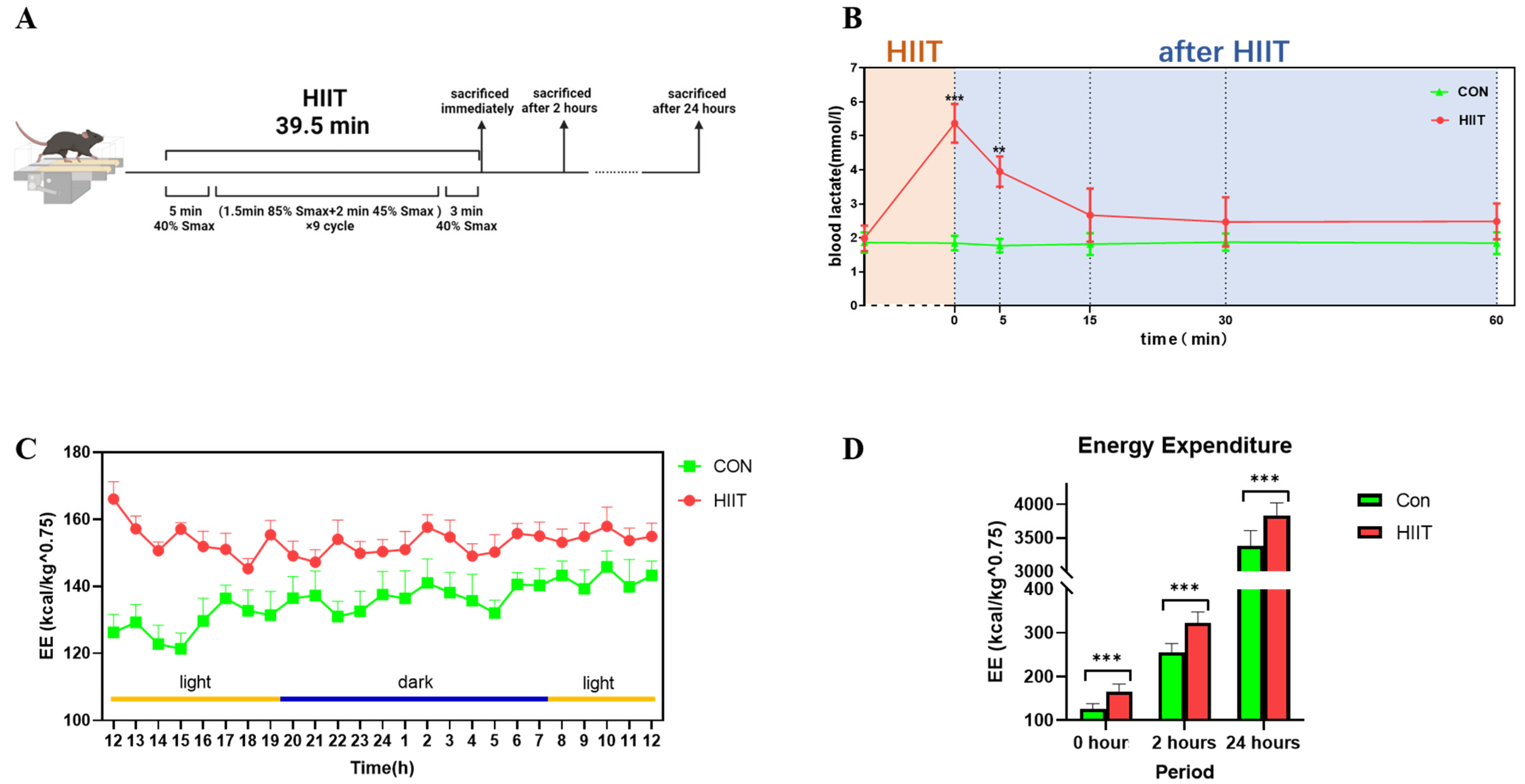 Metabolites 13 00647 g001