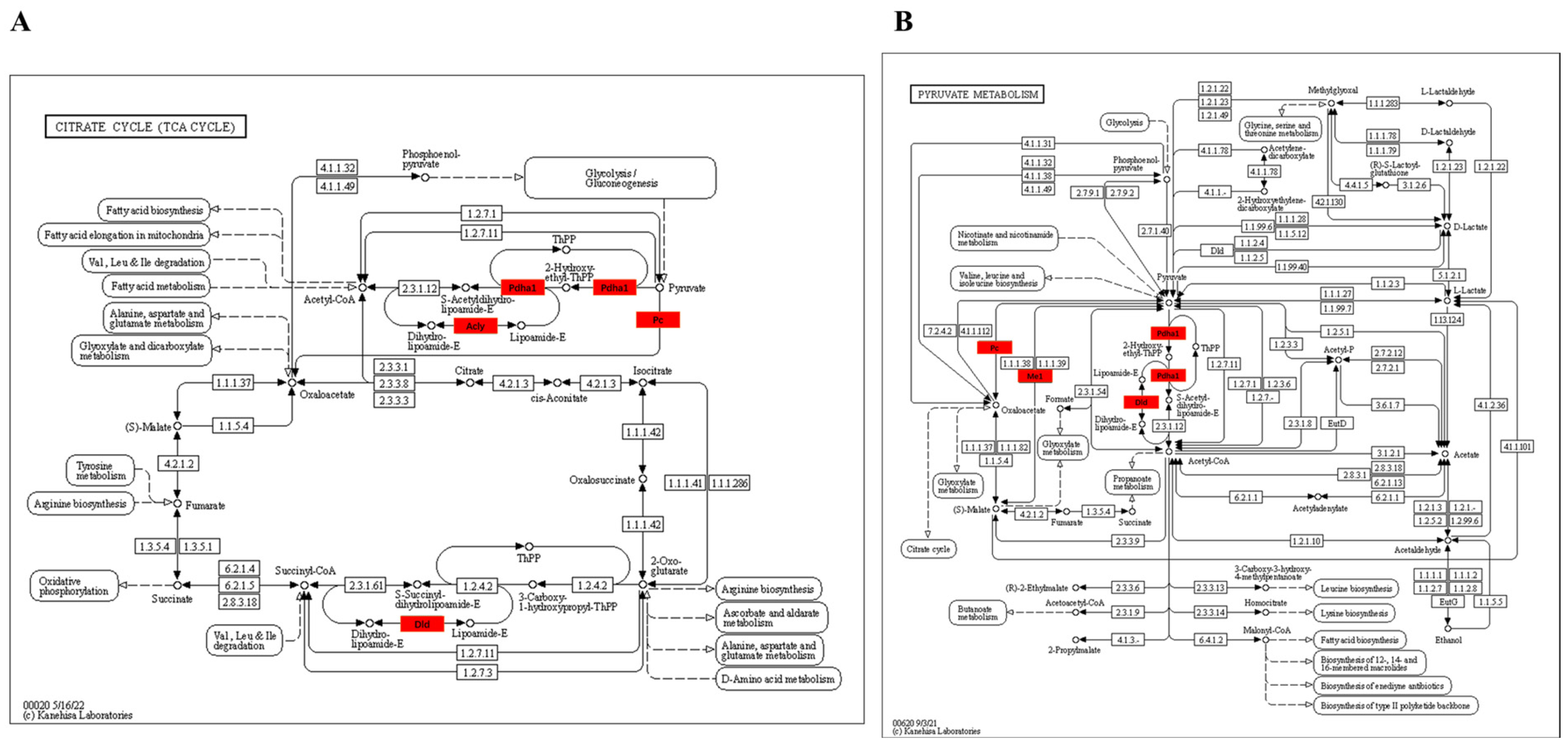 Metabolites 13 00647 g009a