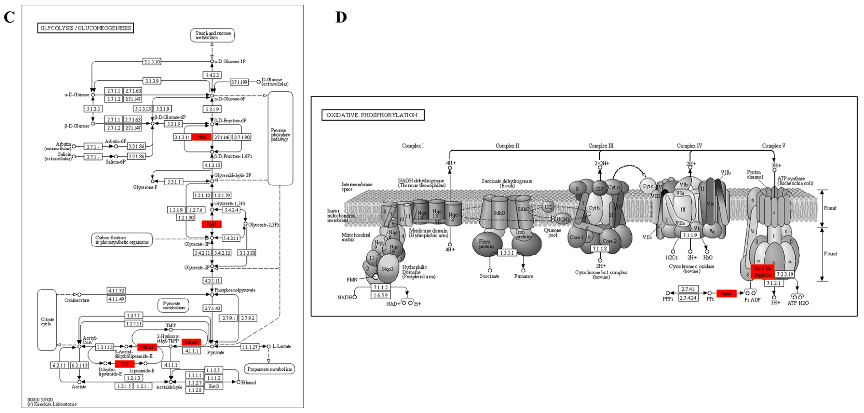 Metabolites 13 00647 g009b