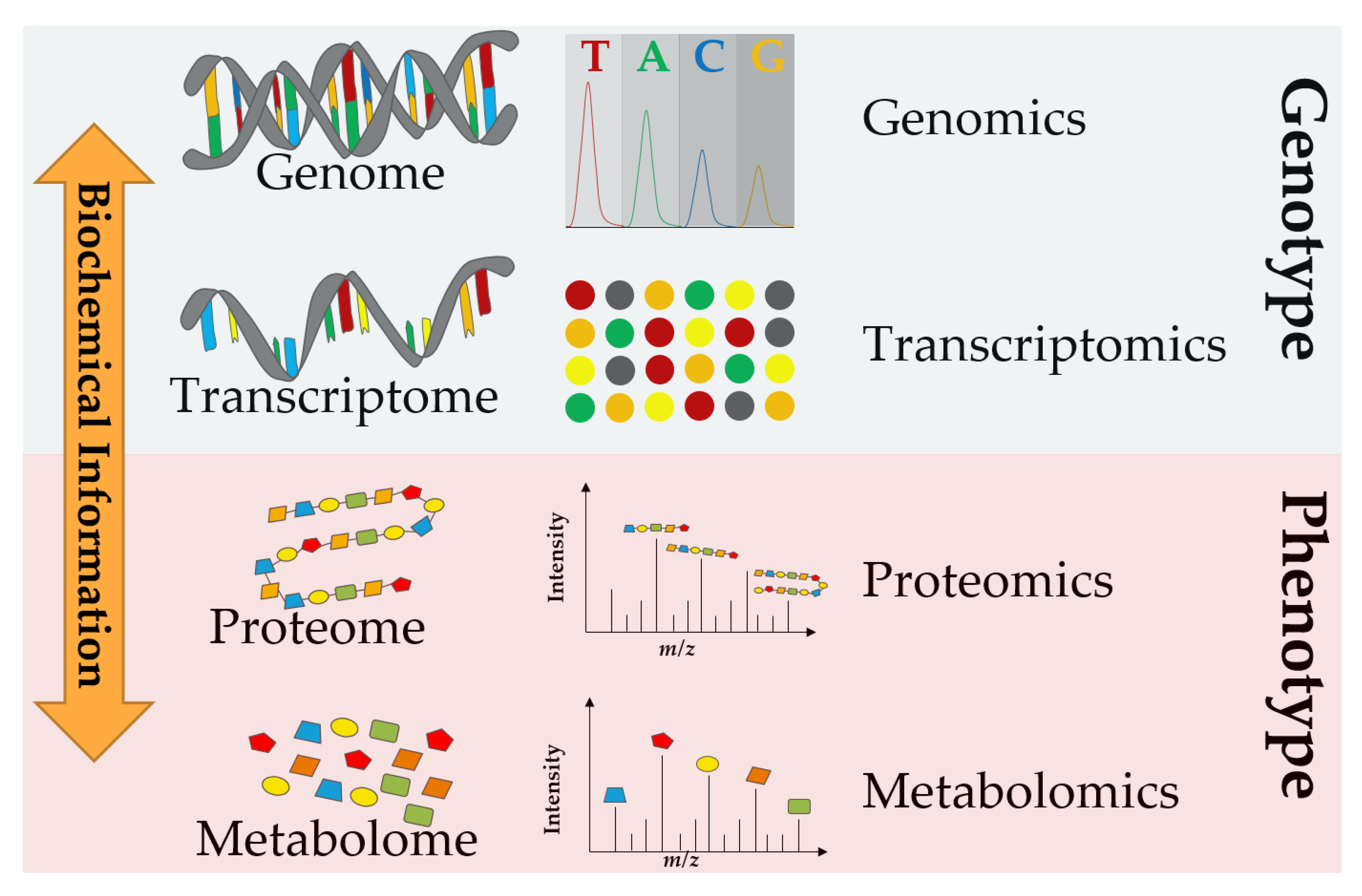 Metabolites 13 00648 g001 Metabolites 13 00648 g001